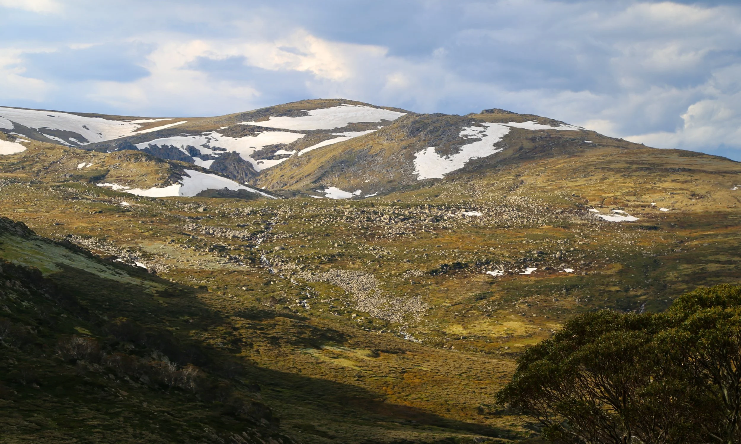 mount townsend - 33 (1).jpeg