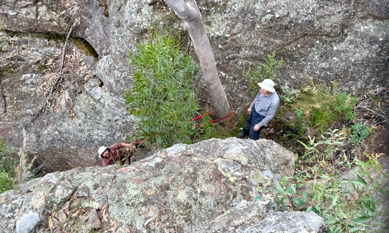 southern yodellers blog - 26.jpeg