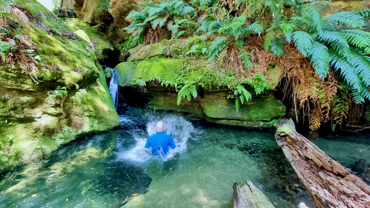 Person in blue jacket swimming in a small creek surrounded by moss-covered rocks and lush green ferns.