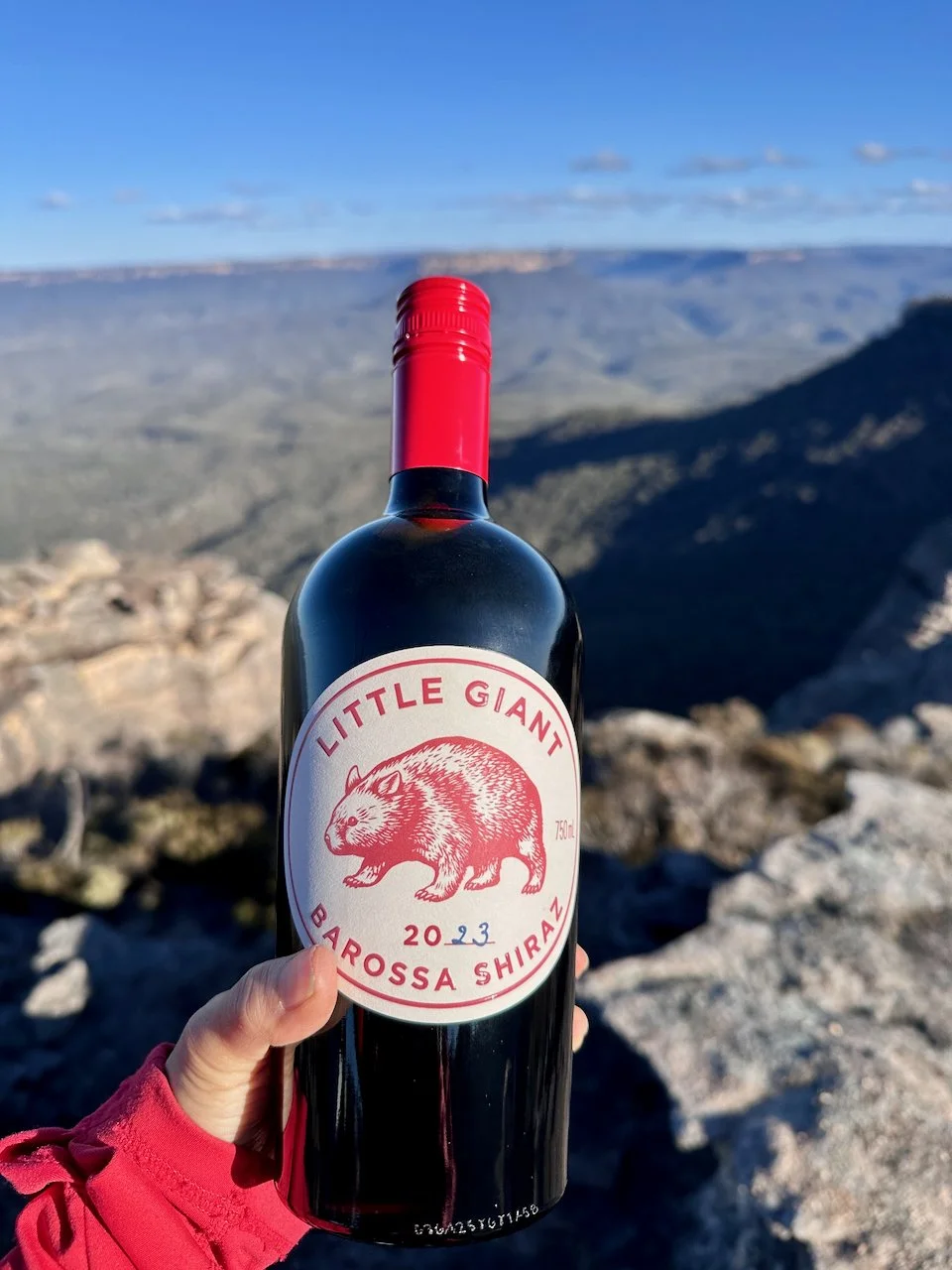 suspended barbican - 24.jpeg