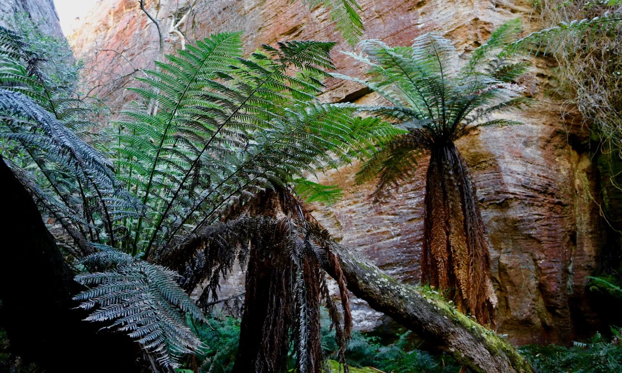 suspended barbican - 15.jpeg