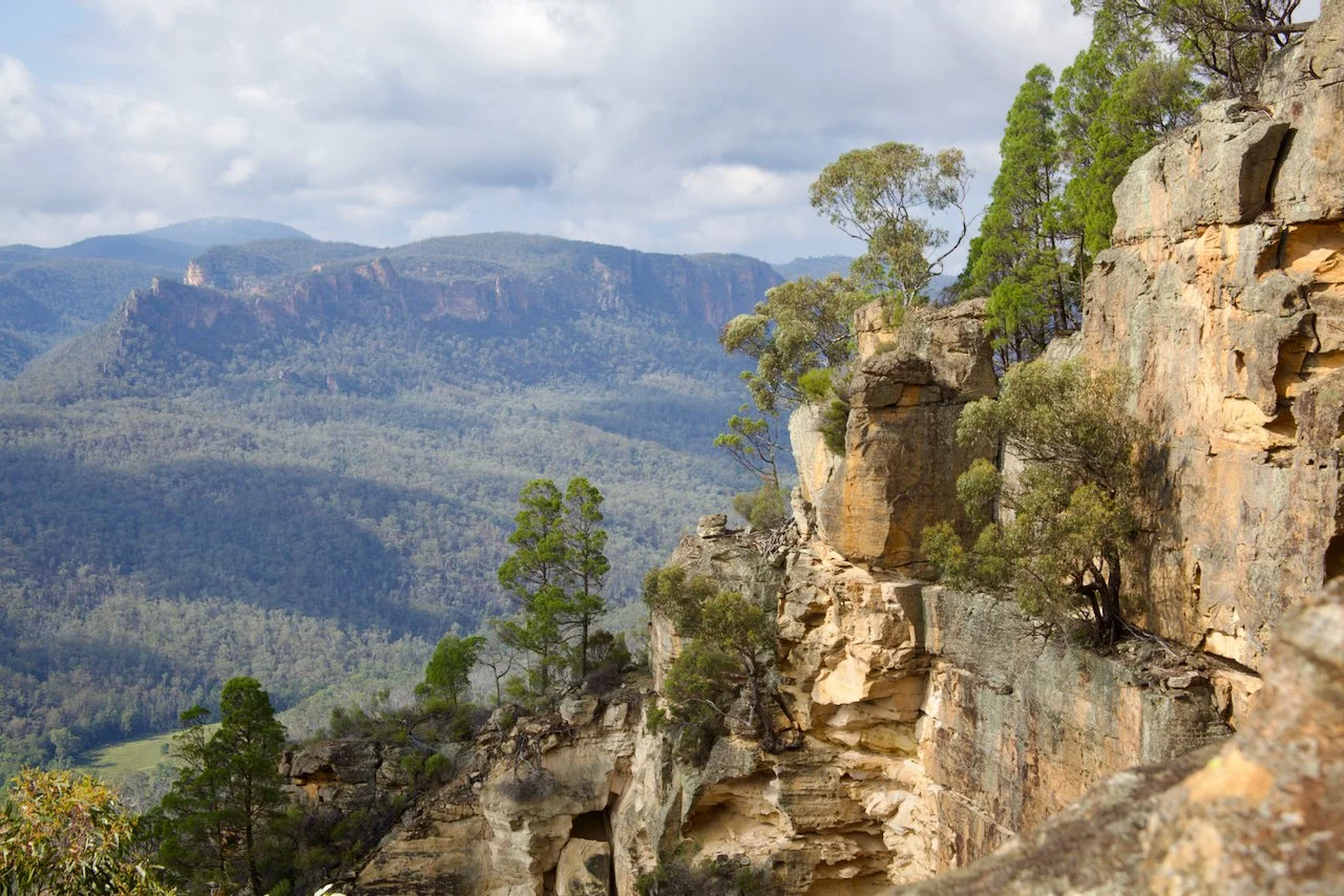 Tenacious plants, including Callitris conifers, grasp the broken cliff line.