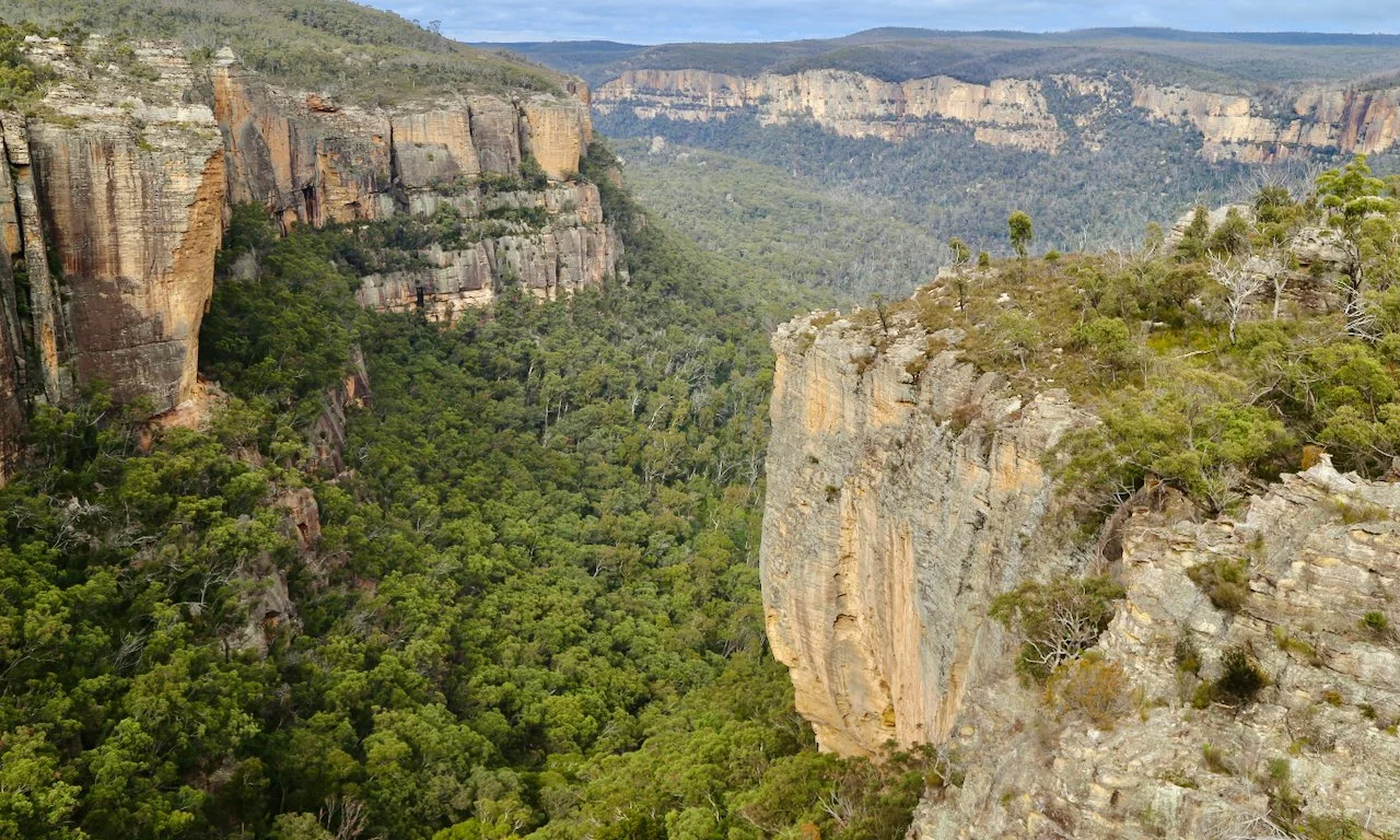 View of a deep canyon with steep rocky cliffs and a dense green forest below, extending into distant hills under a partly cloudy sky.