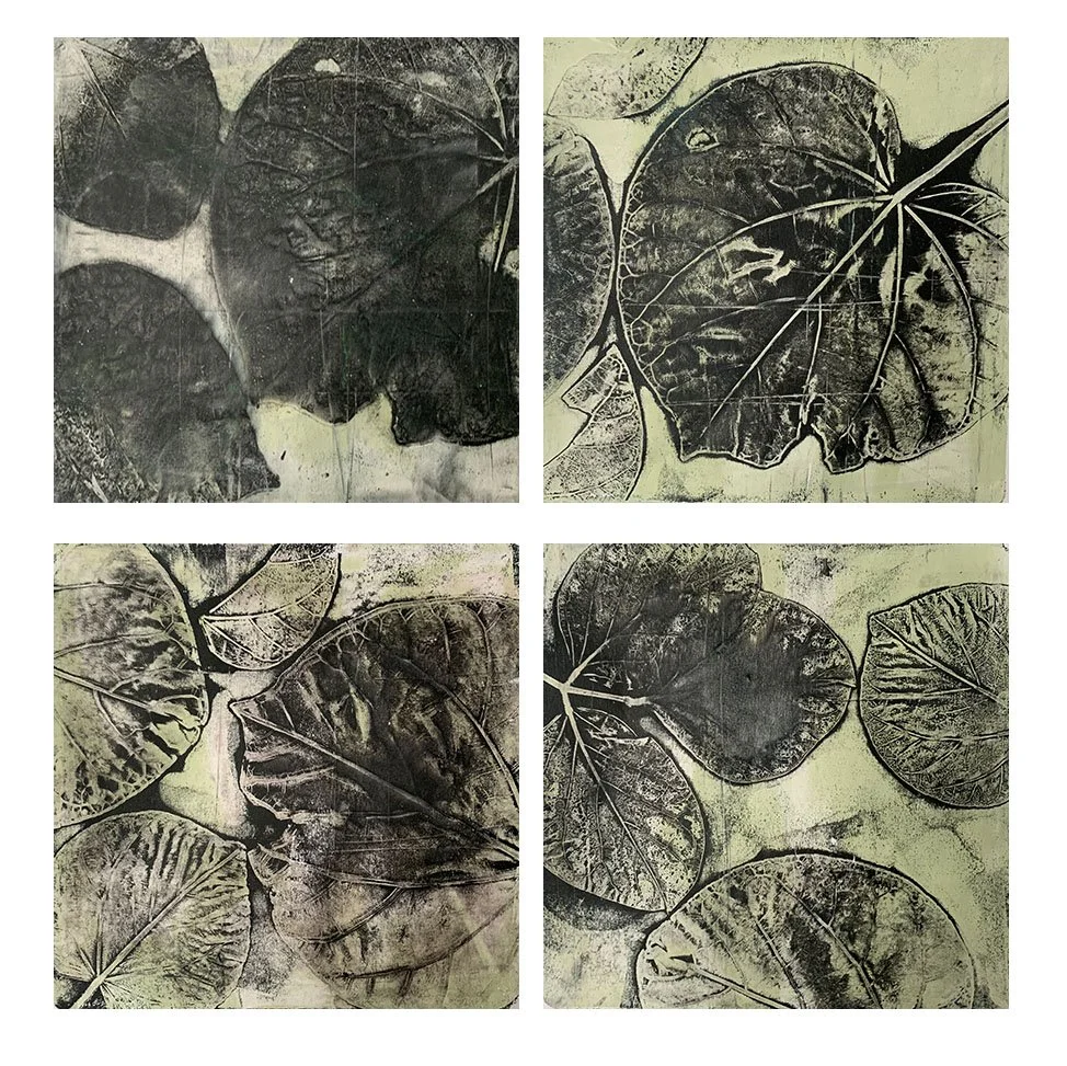 Charcoal & Sage Quartet, Monotype, 40 x 40cm - Sold