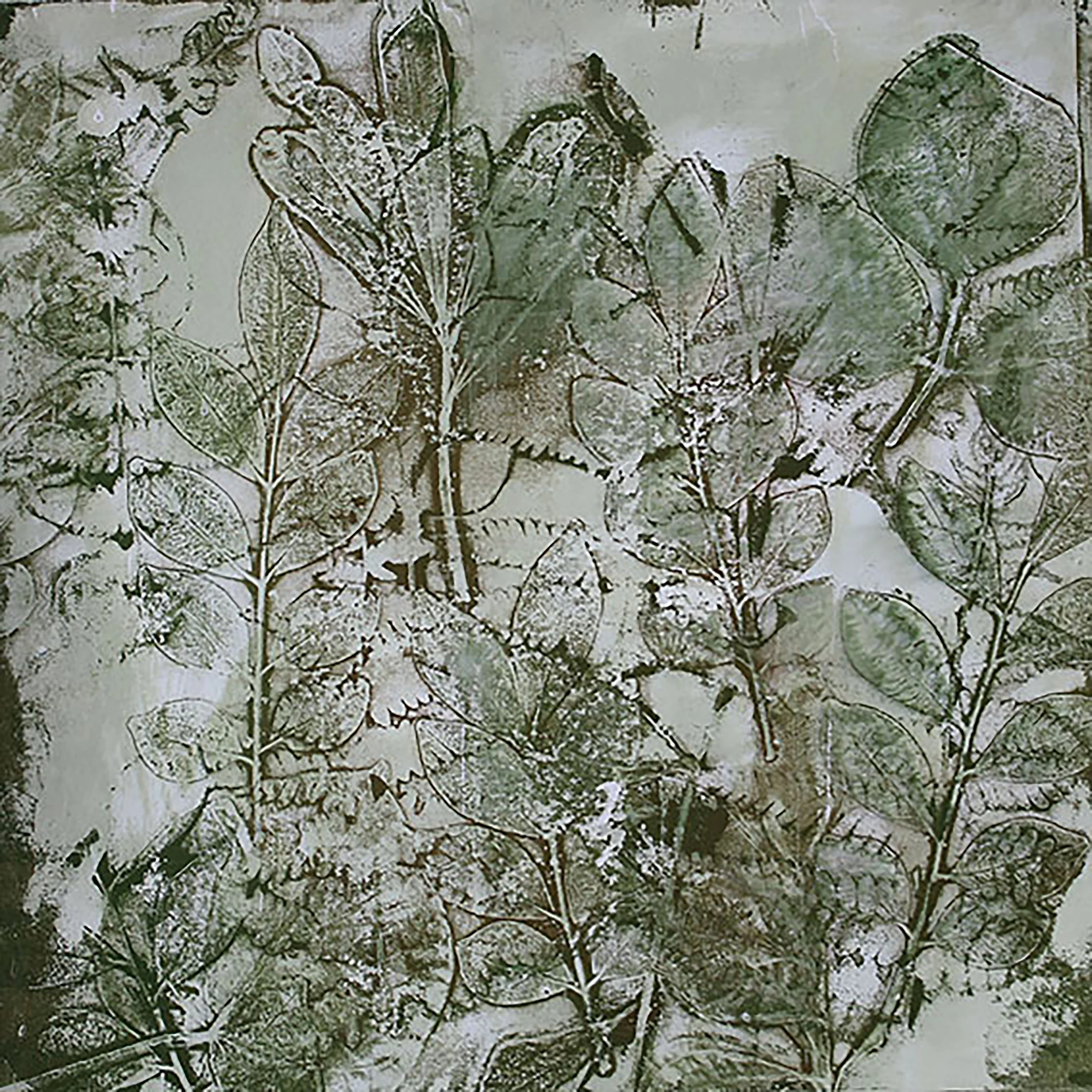 Verdant I, Monotype, 30 x30cm - Sold