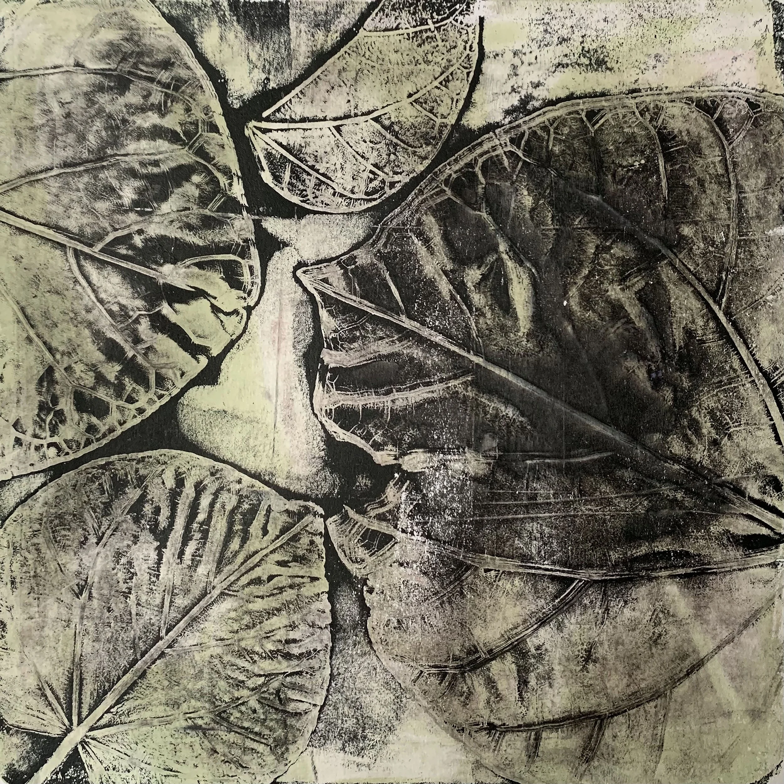 Charcoal & Sage I, Monotype on cotton rag paper 280gsm , 50 x 50cm - Sold