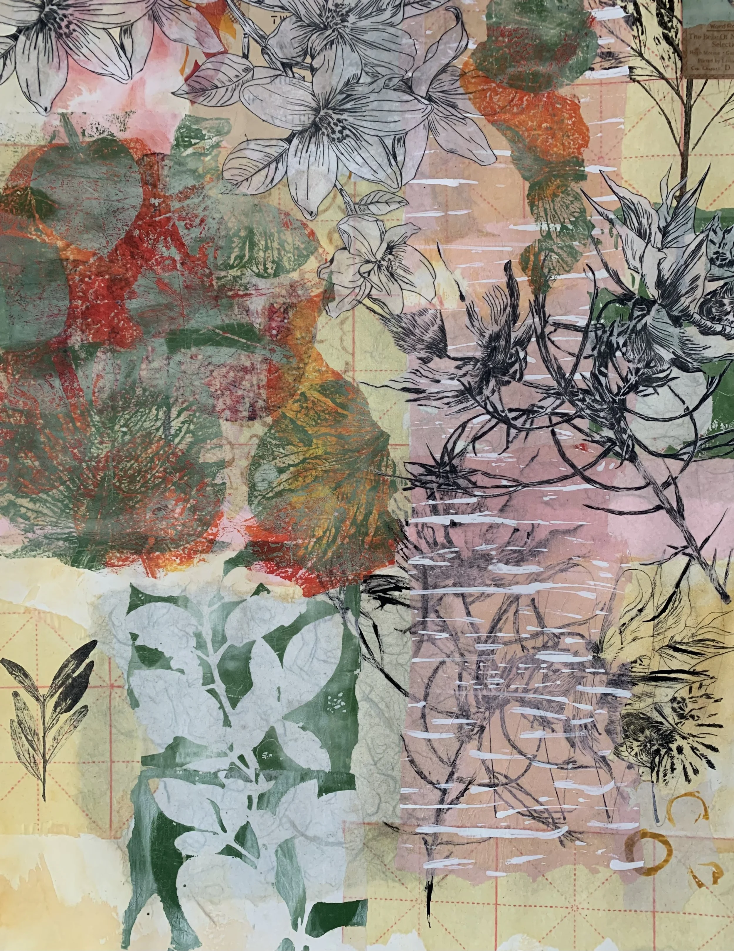 Bold & Free II, Mixed media dry point & monotype on stonehenge 300gsm, 76 x 56cm - Sold