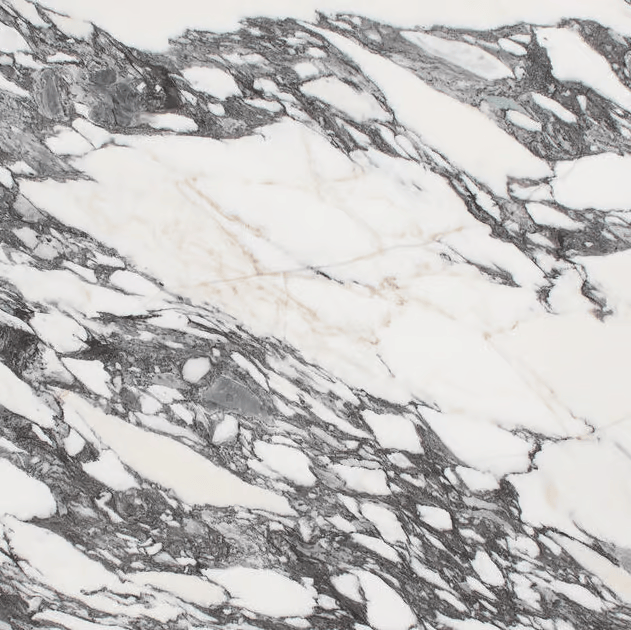 Close-up of a marble surface with white and gray veining.
