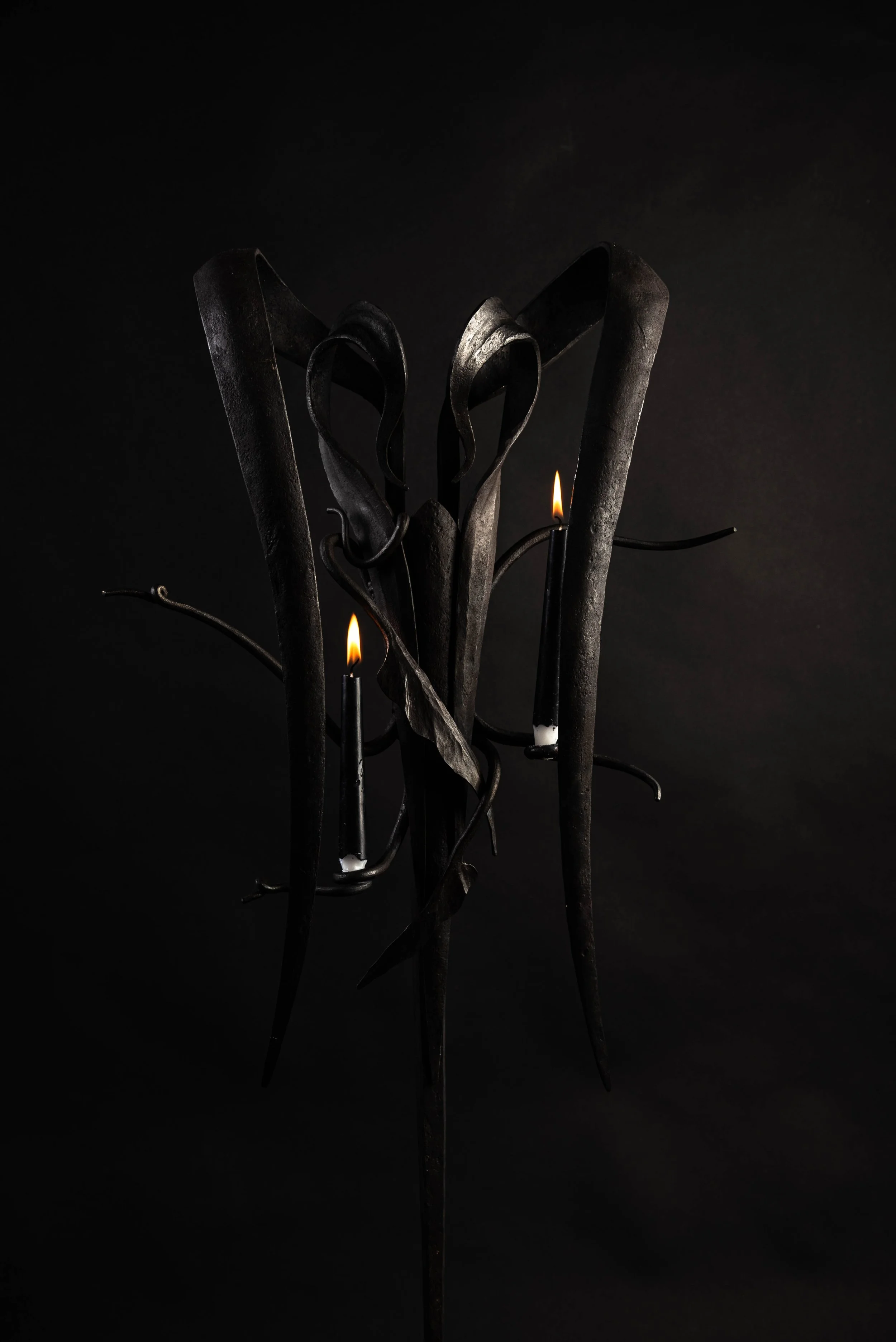 Borne of the Night Sconce