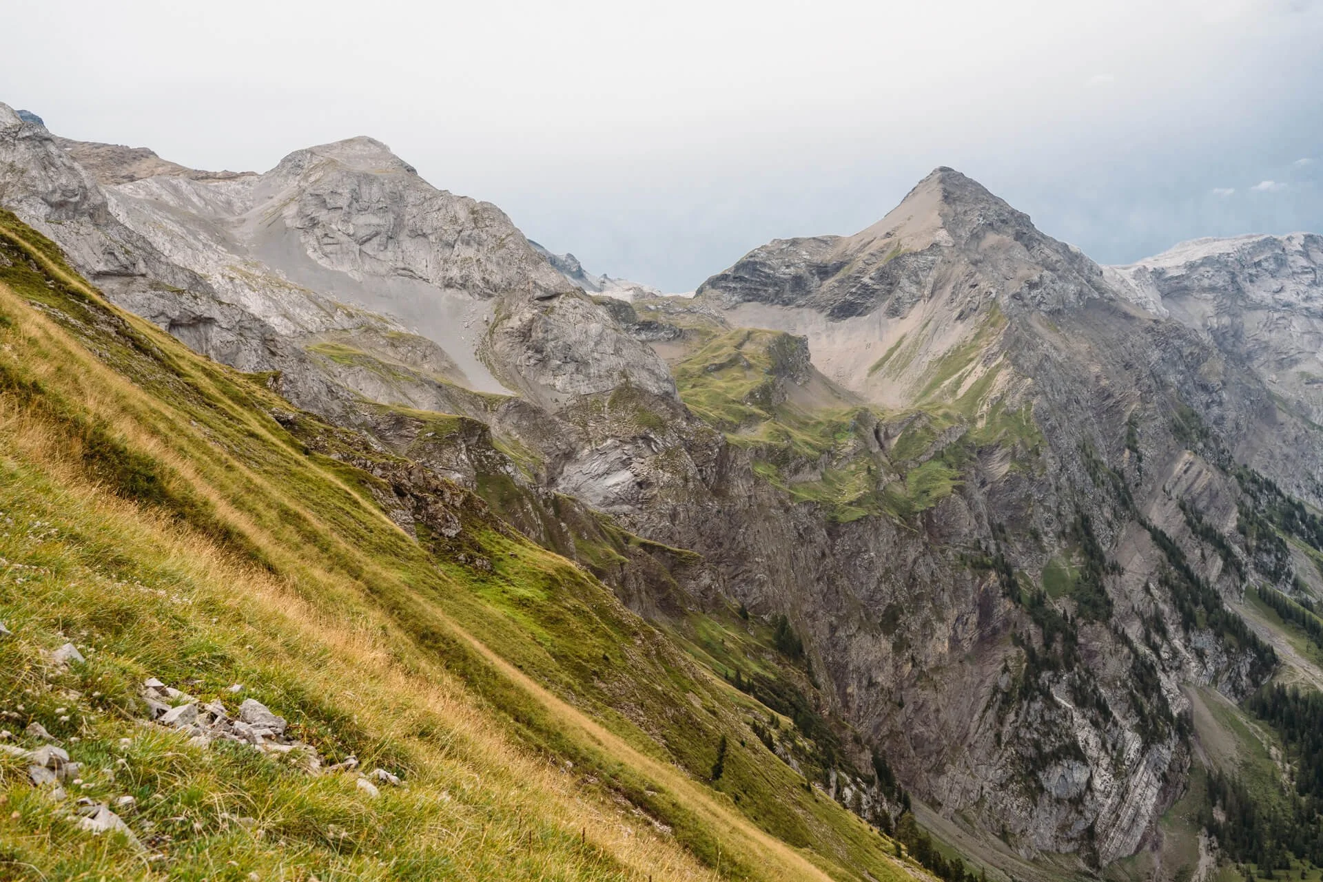SelysStudio-Photo_A7R0629.jpg