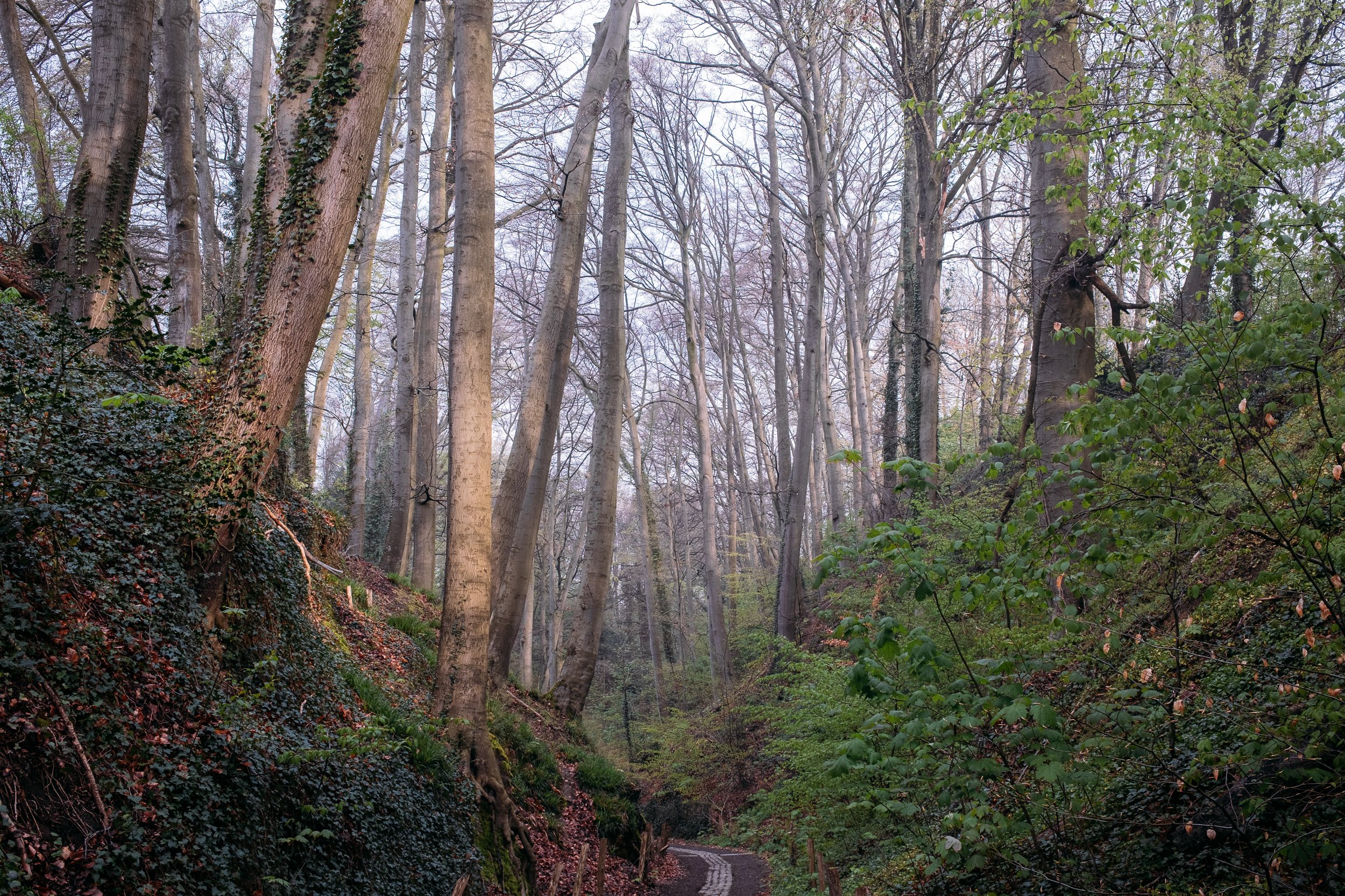 DSCF6767.jpg