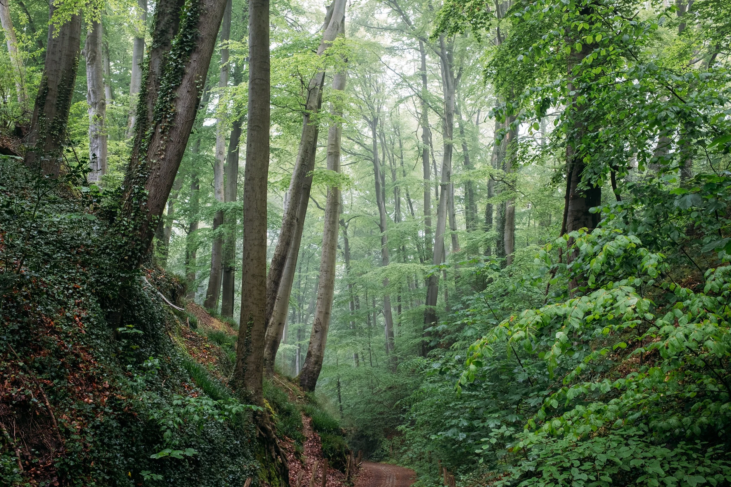 La Vallée des Artistes