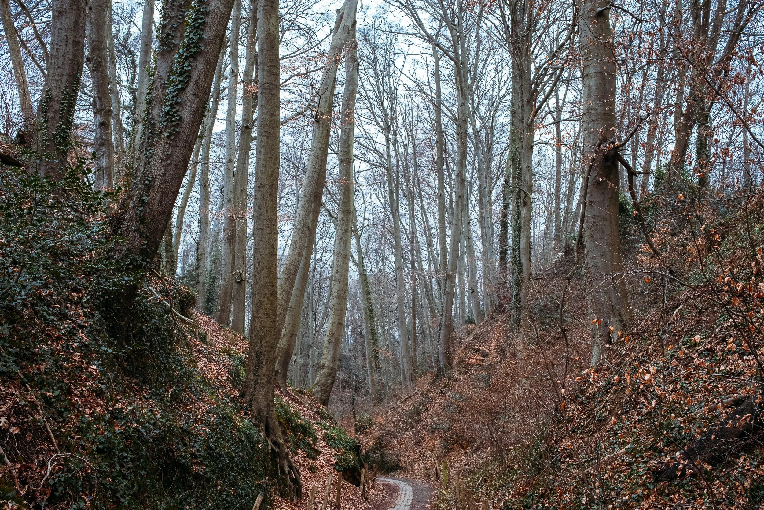 DSCF4370.jpg