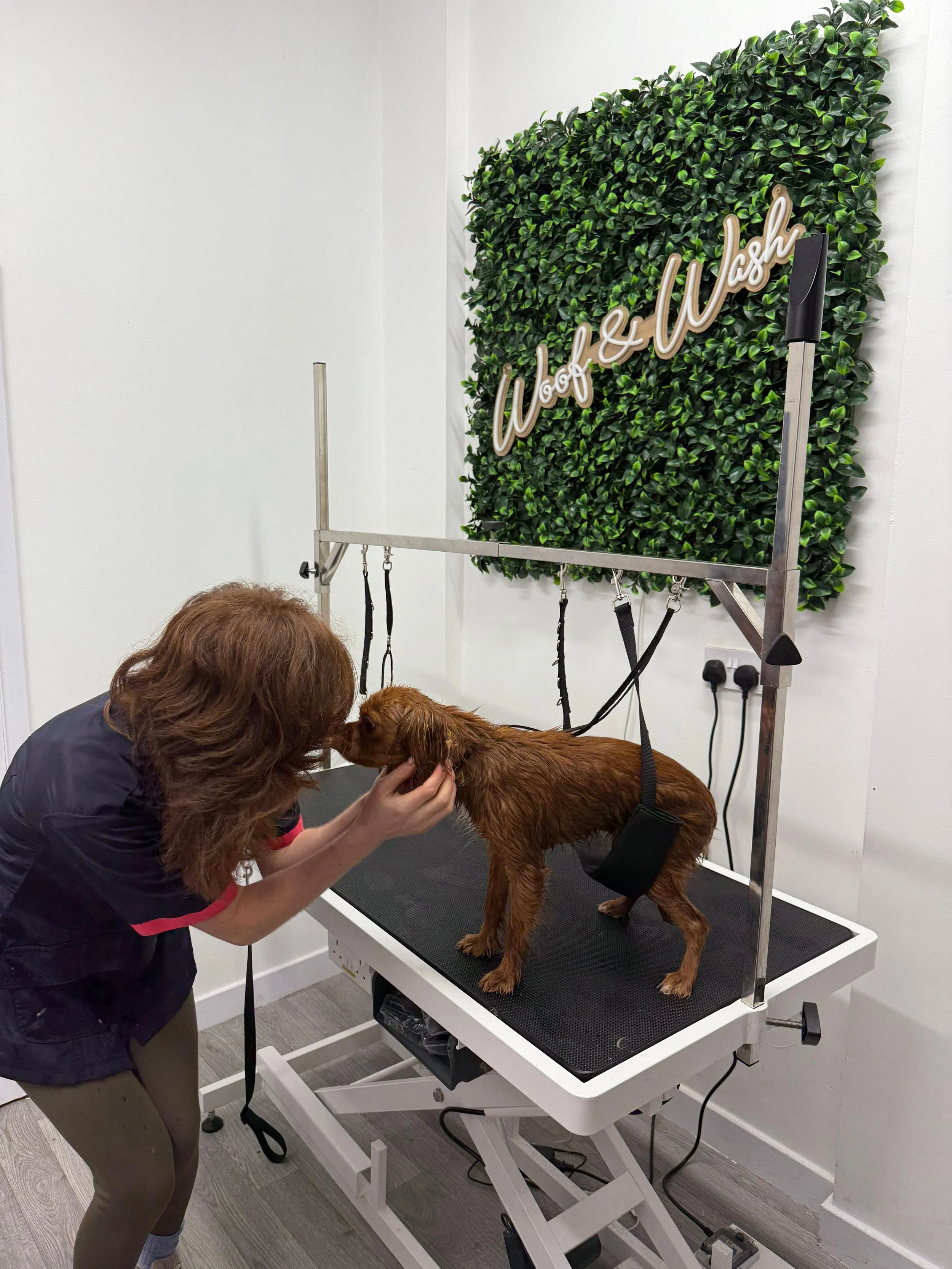 A woman is grooming a wet, brown dog that is standing on a grooming table with a black strap around its waist. The dog is facing the woman, and she is holding its head gently while leaning in close. Behind them, there is a decorative green wall with 