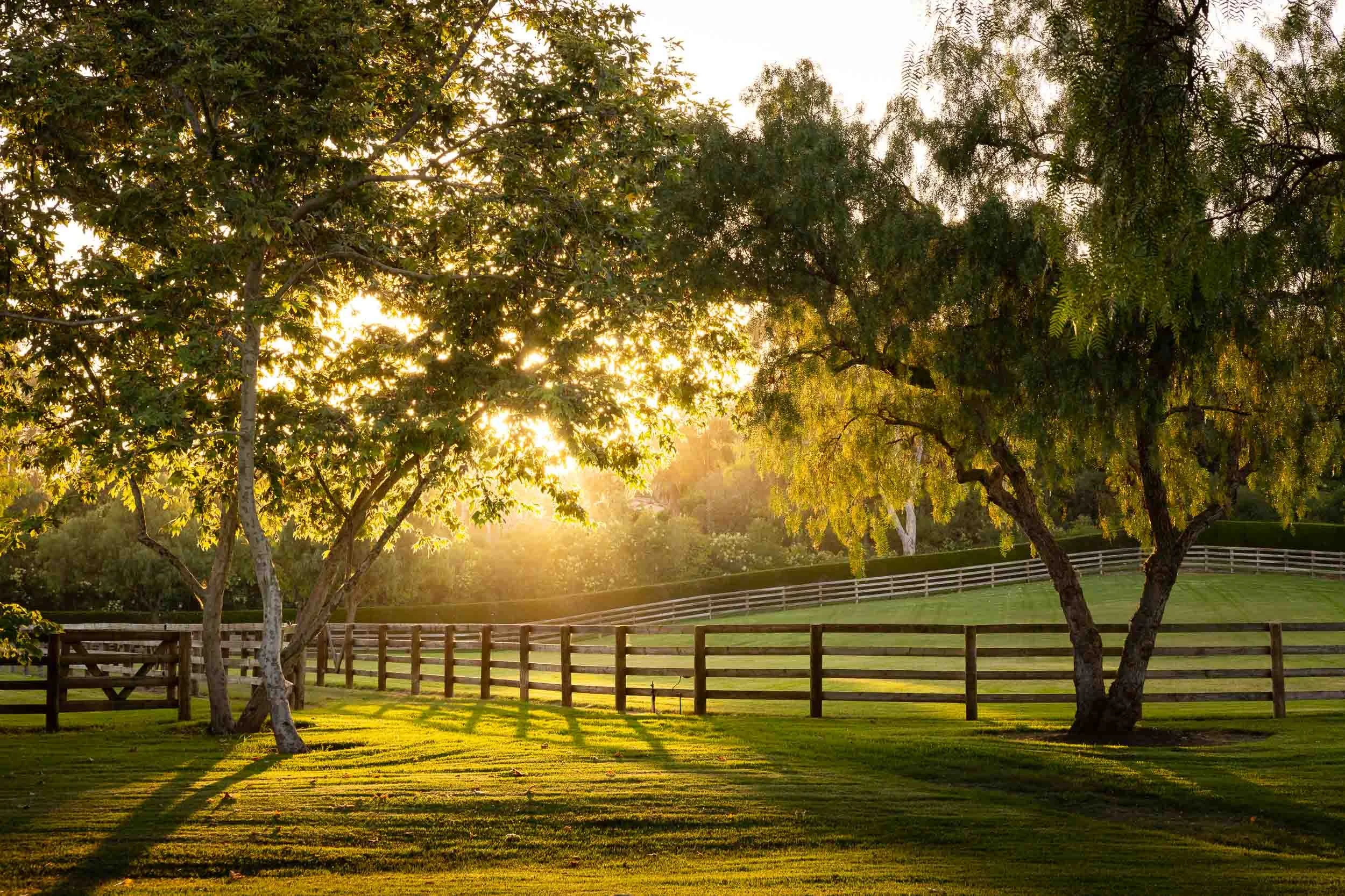 16401 Calle Feliz - architecture photographer-12.jpg