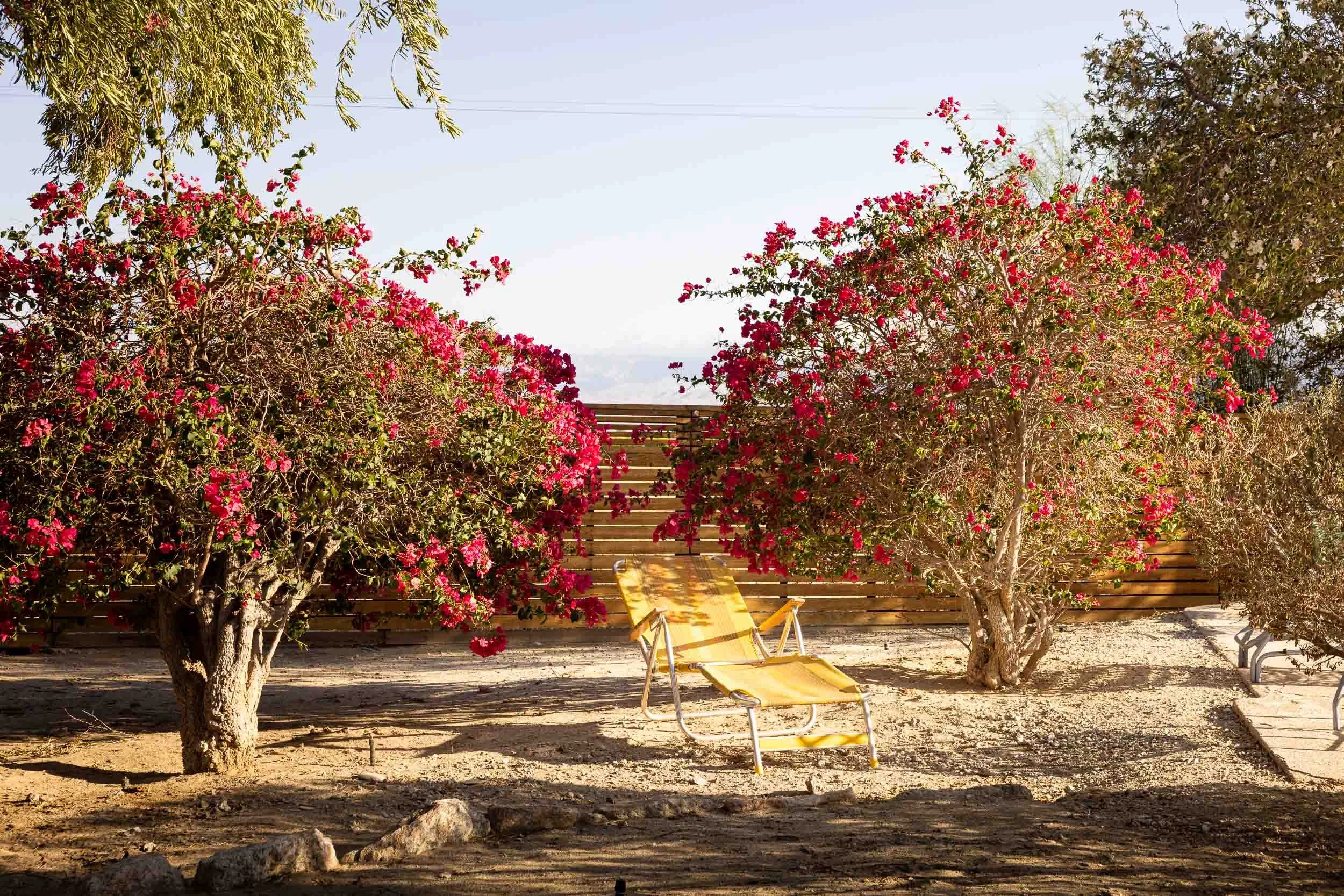 811 Di Giorgio Rd - borrego springs real estate photographer-6.jpg