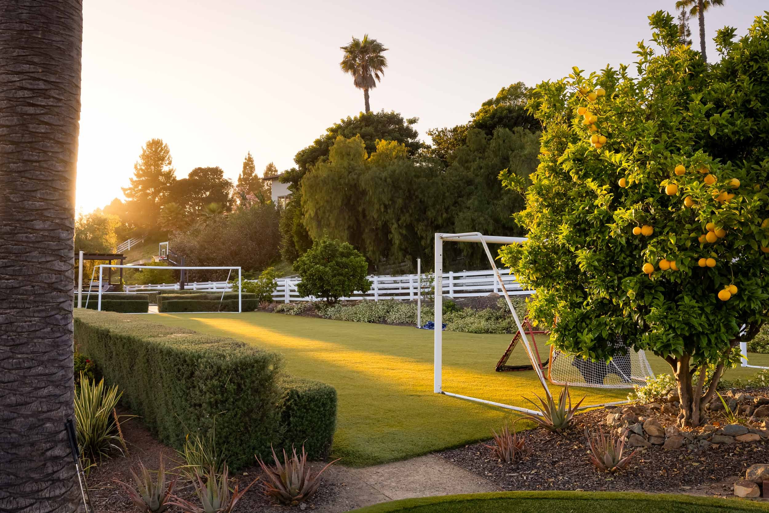 3350 Wildflower Valley Dr - real estate photographer-10.jpg