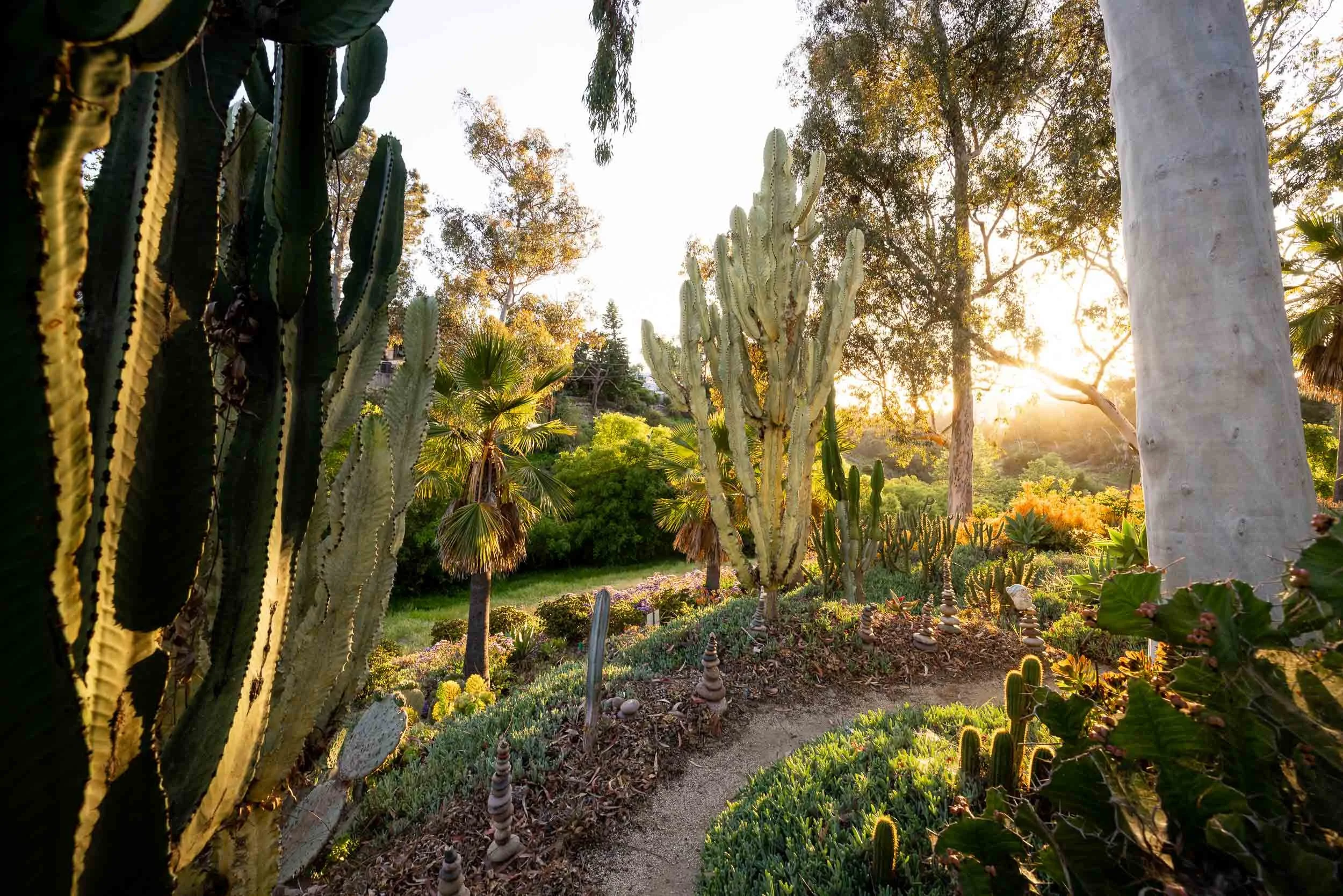 1271 Brookes Terr - san diego architecture photographer-9.jpg