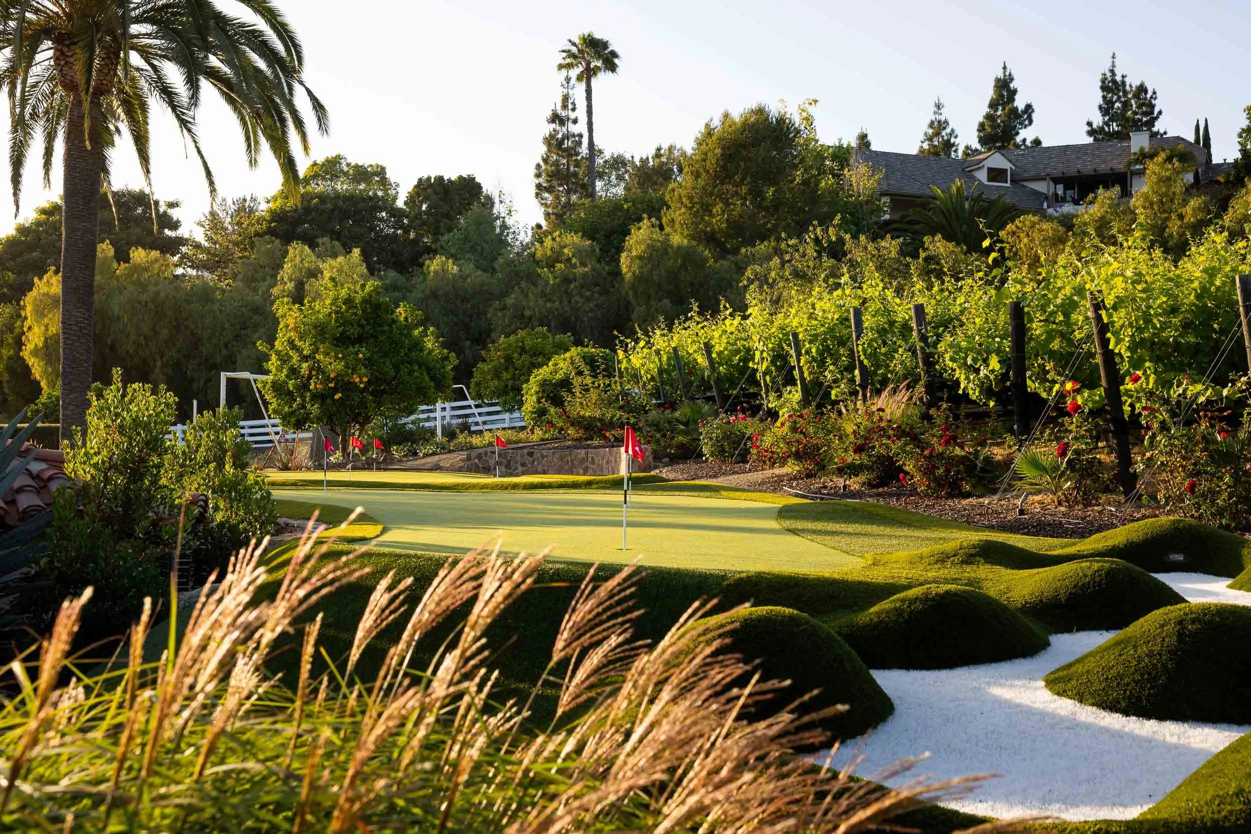 3350 Wildflower Valley Dr - real estate photographer-12.jpg