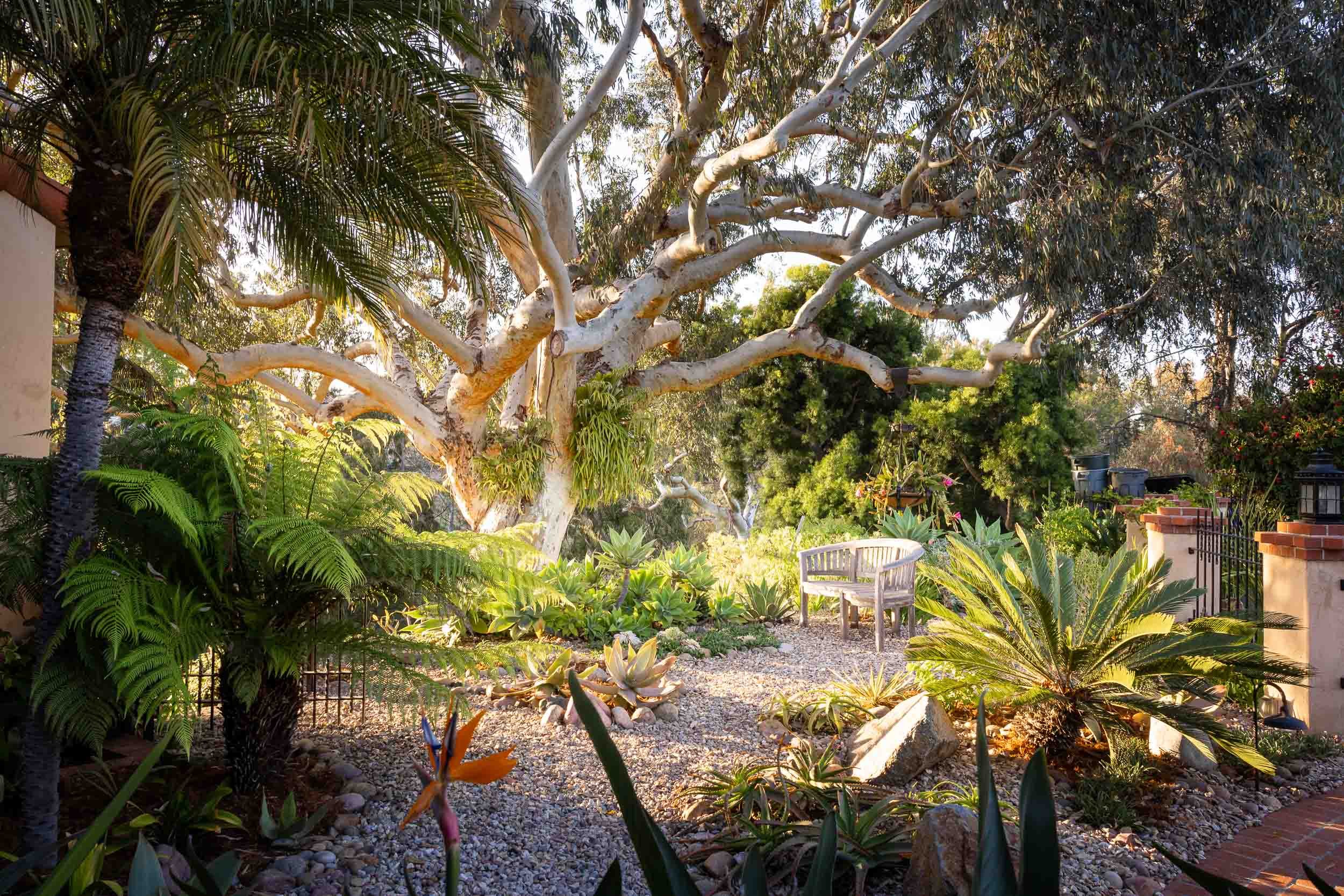 1271 Brookes Terr - san diego architecture photographer-10.jpg