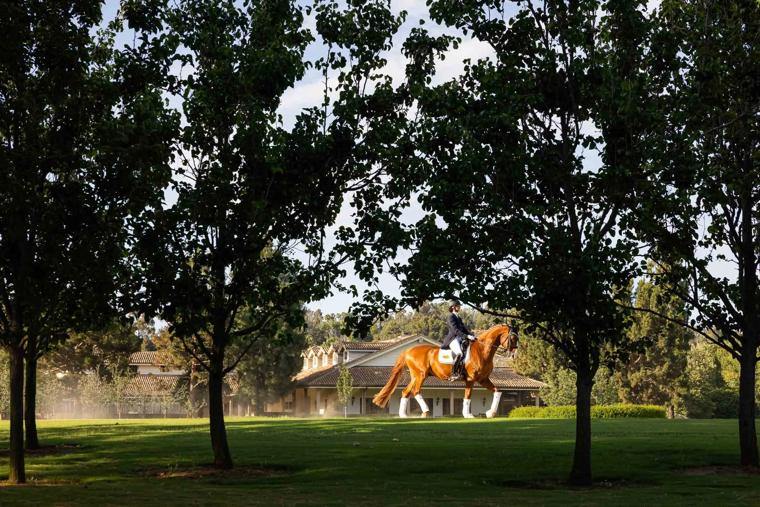 16401 Calle Feliz - architecture photographer-19.jpg