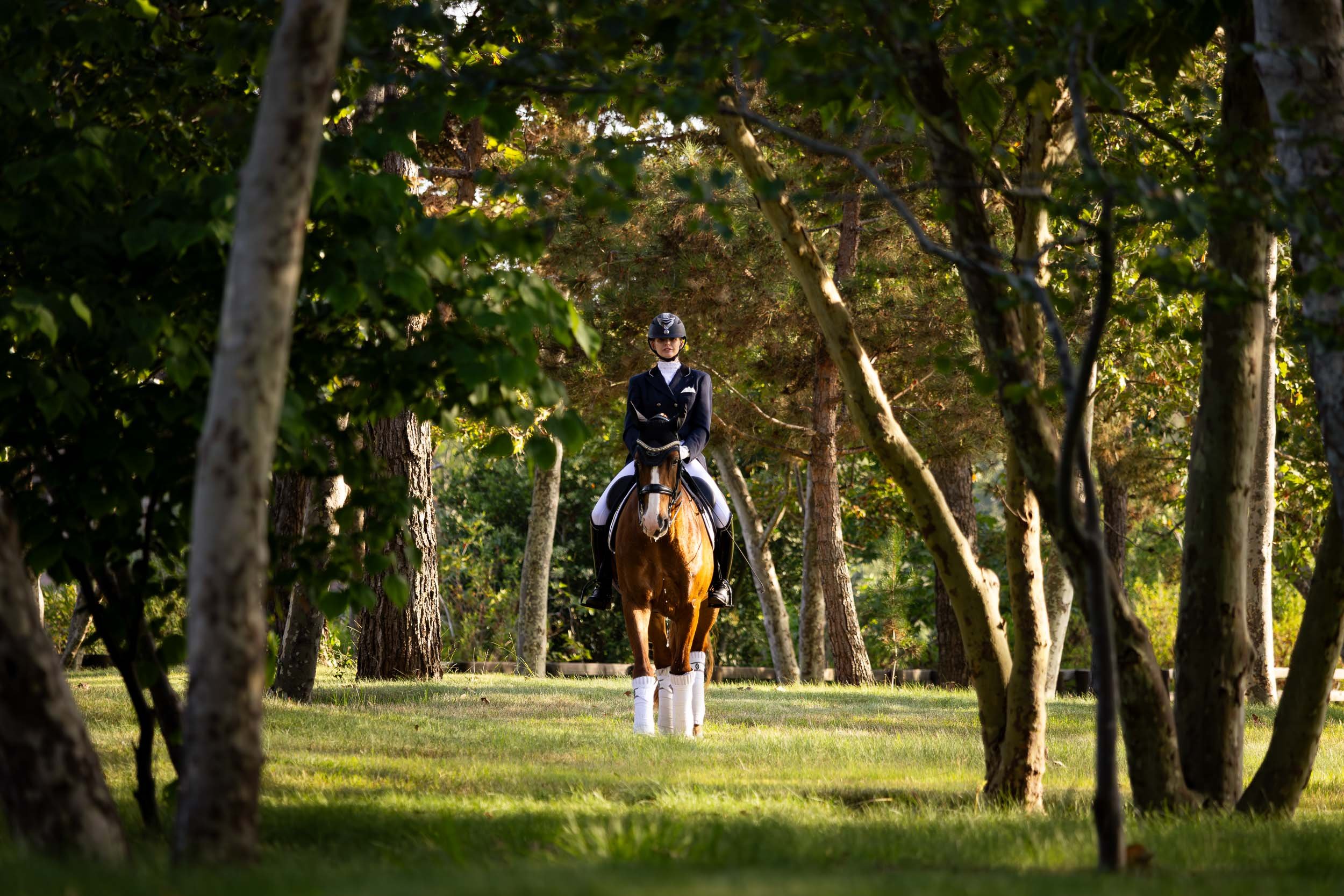 16401 Calle Feliz - architecture photographer-20.jpg