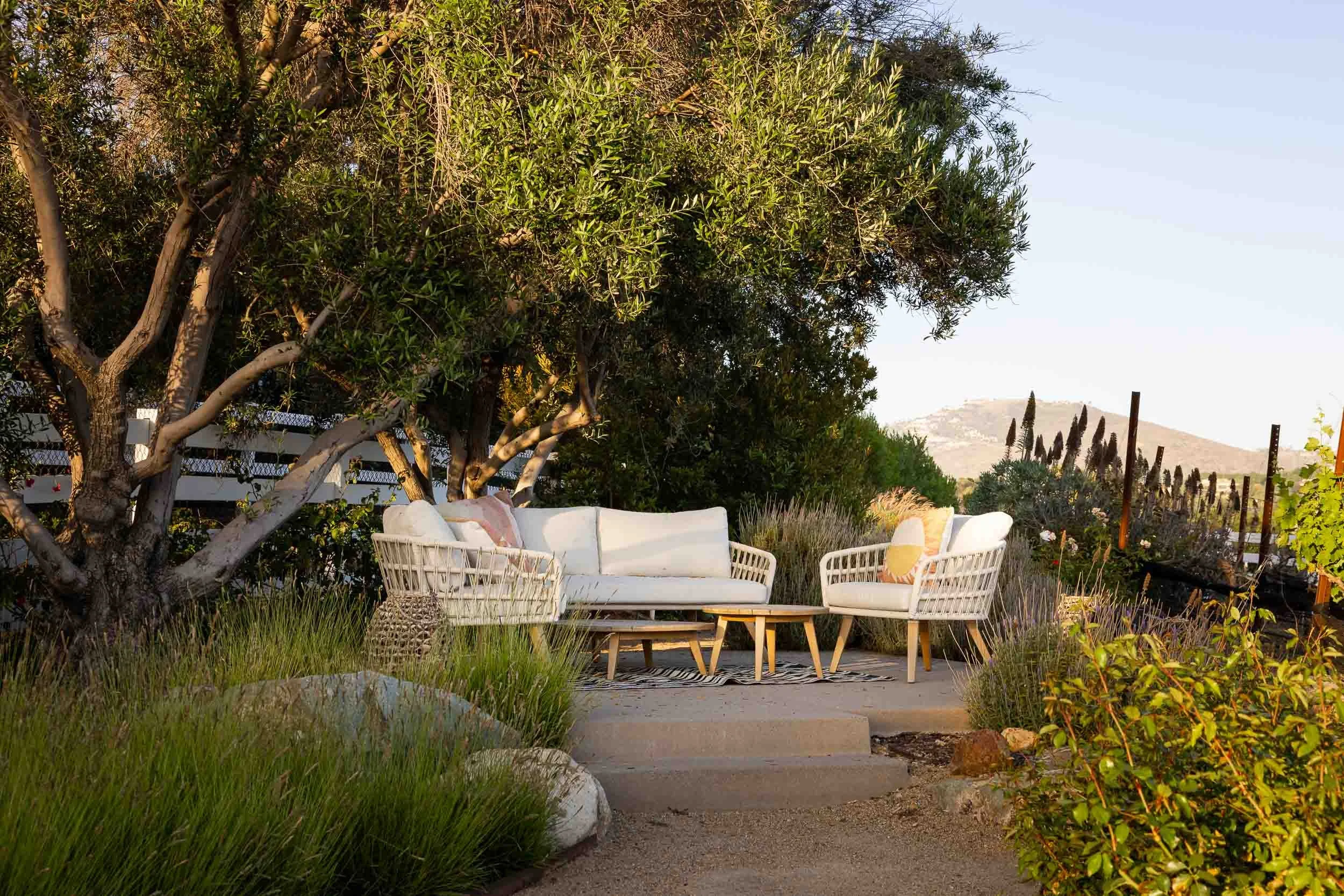 3350 Wildflower Valley Dr - real estate photographer-11.jpg