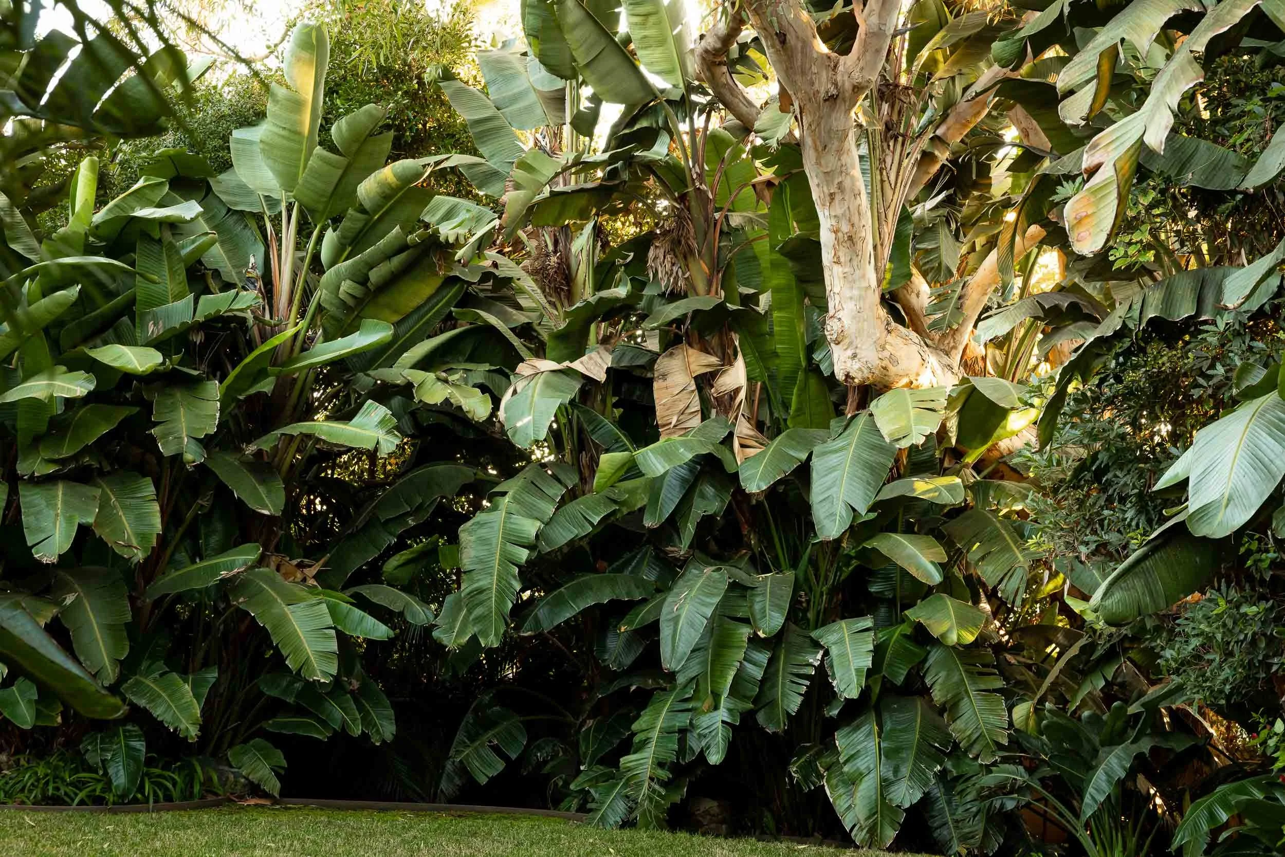  - architecture photographer-10.jpg