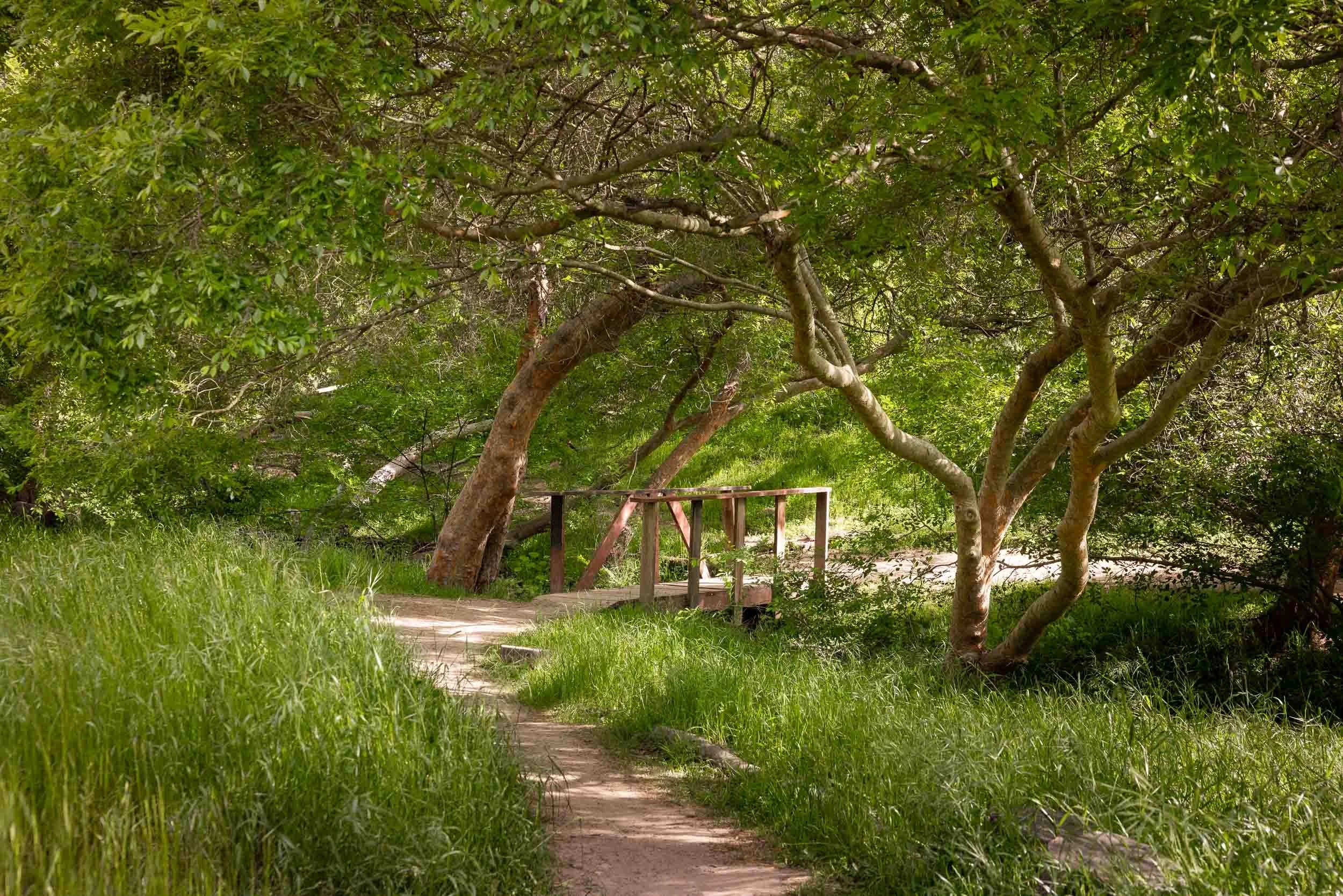 1271 Brookes Terr - san diego architecture photographer-8.jpg