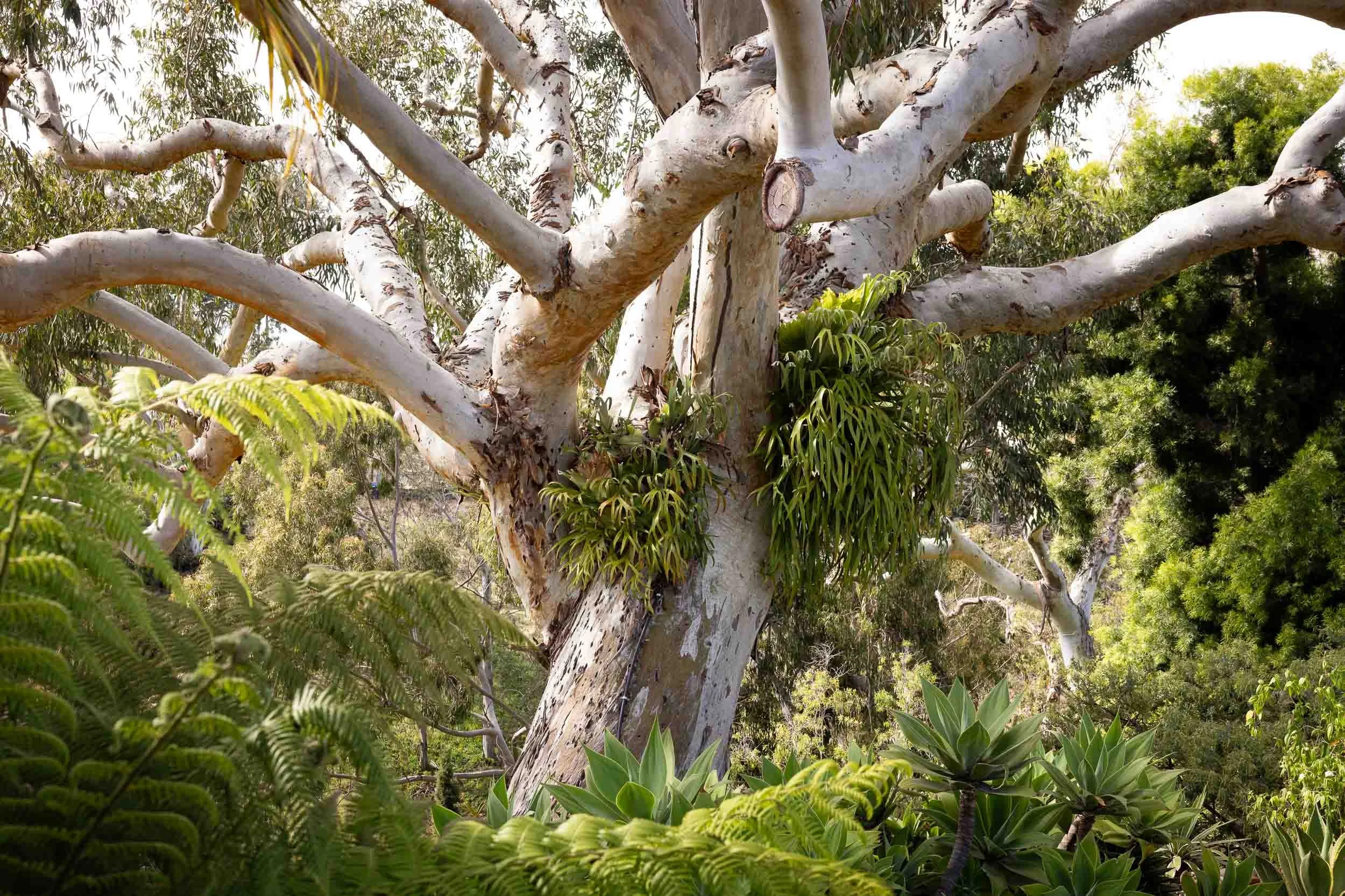 1271 Brookes Terr - san diego architecture photographer-7.jpg