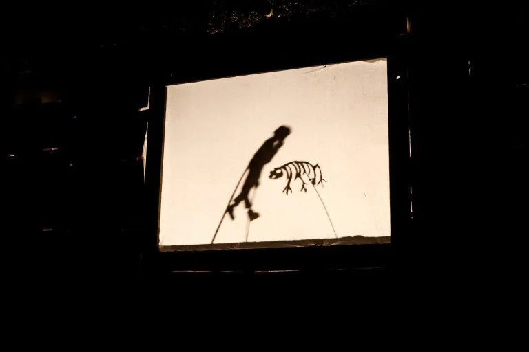 Shadow puppet show featuring a lizard and a small insect on a white screen.