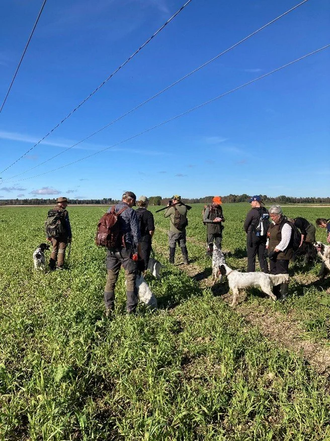 Group of people standing in a green field with goats, under power lines on a bright, partly cloudy day.