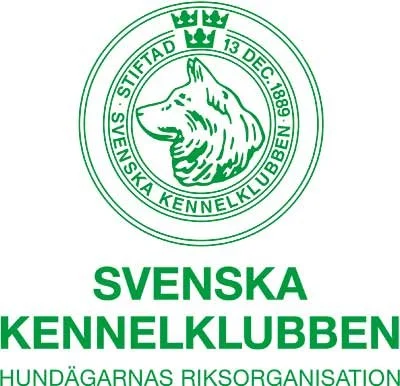 SKKs Webbinarium 