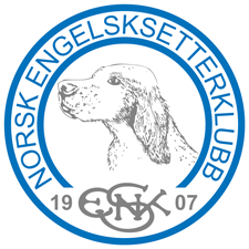 Digitalt informationsmöte om hälsoprojekt för Engelsk Setter och Gordon Setter
