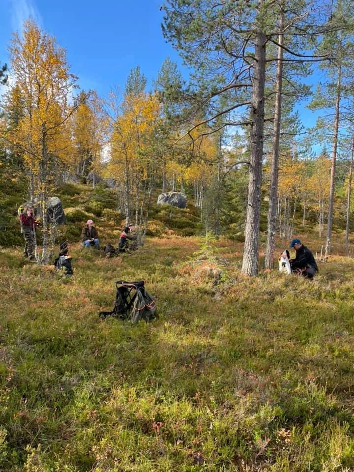 People hiking through a forested area with trees in fall colors, some sitting and others standing among rocks and trees, with backpacks on the ground.