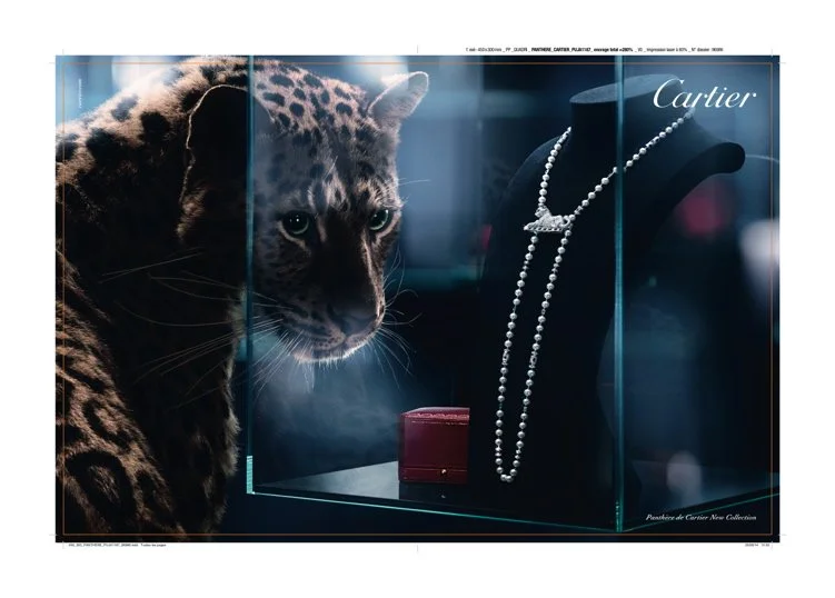 CARTIER 450_300_PANTHERE_PUJA1187_96986.jpg