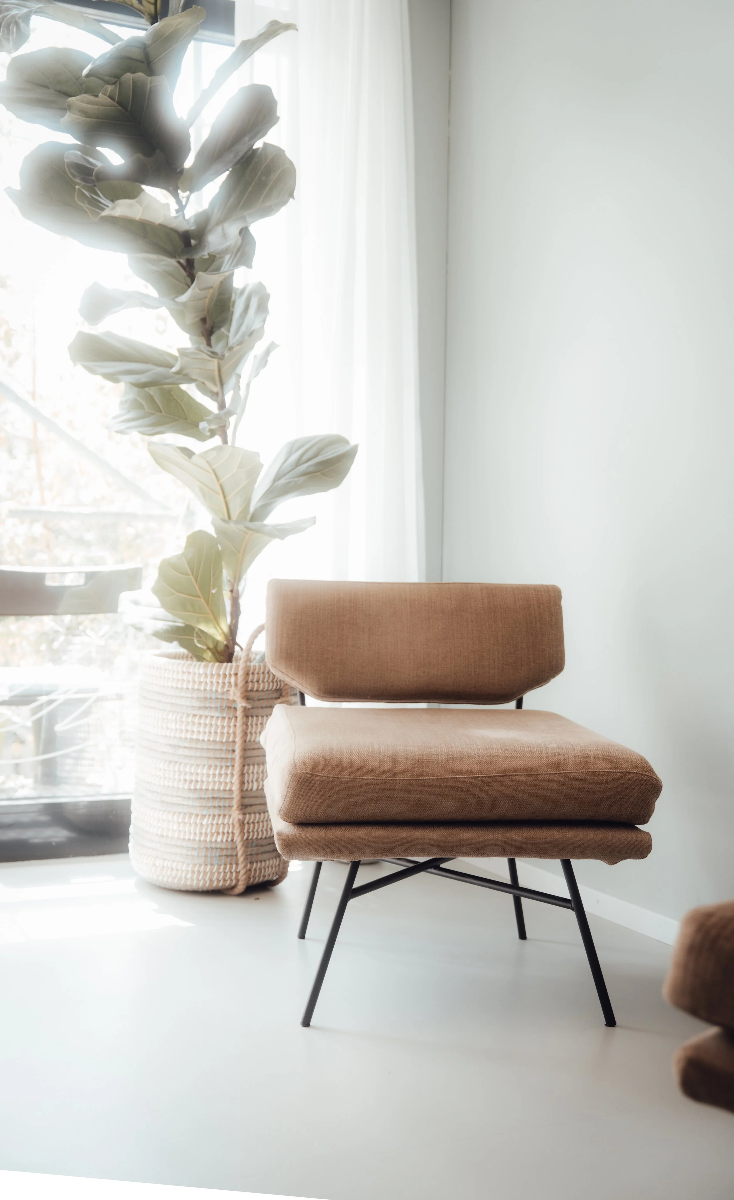 Ein modernes Wohnzimmer mit einem braunen Sessel, einer großen Zimmerpflanze in einem Korb und einem weißen Vorhang vor einem Fenster.