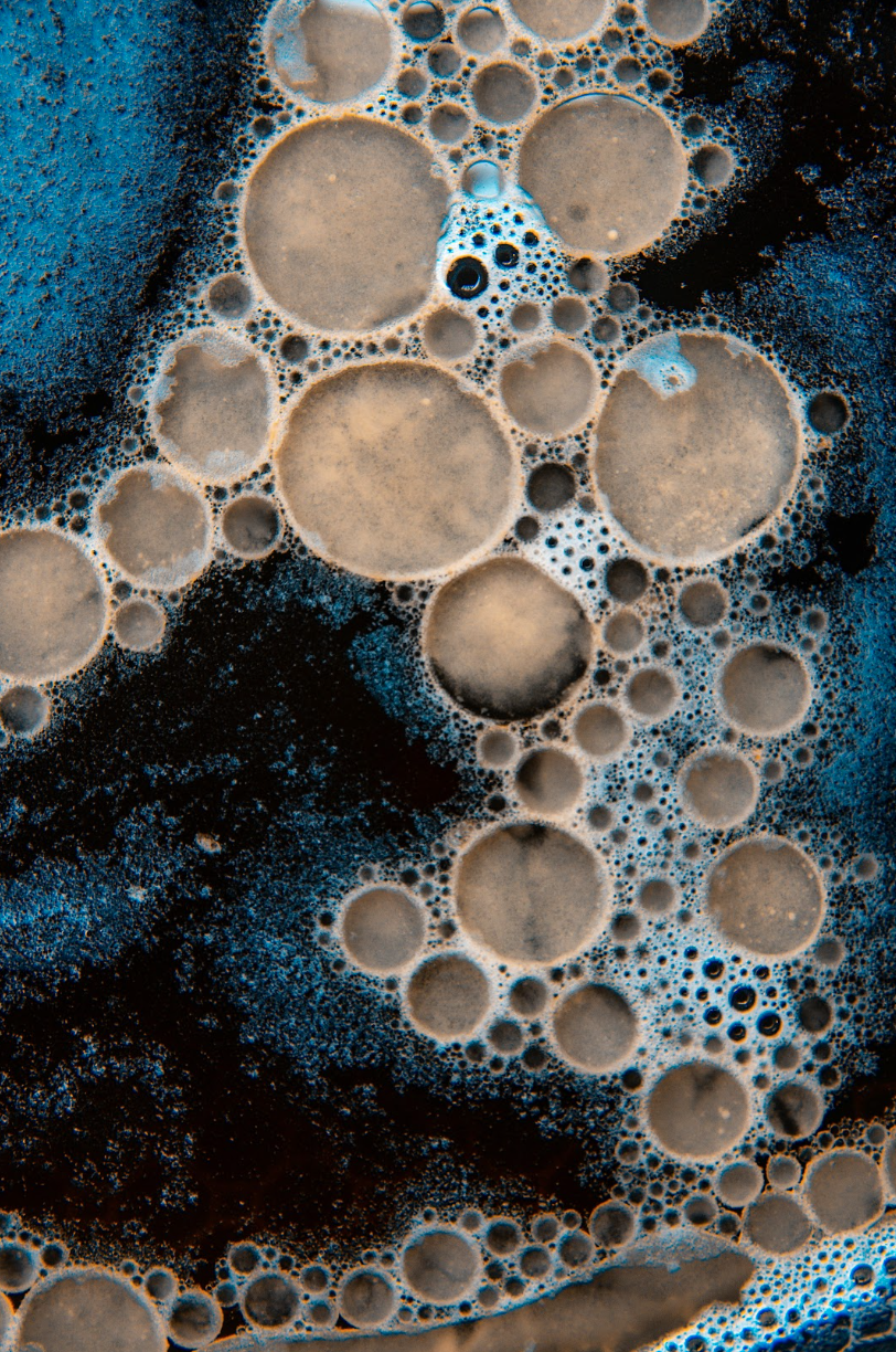 Micro 002: The Microbiome as Terrain &amp; Atmosphere