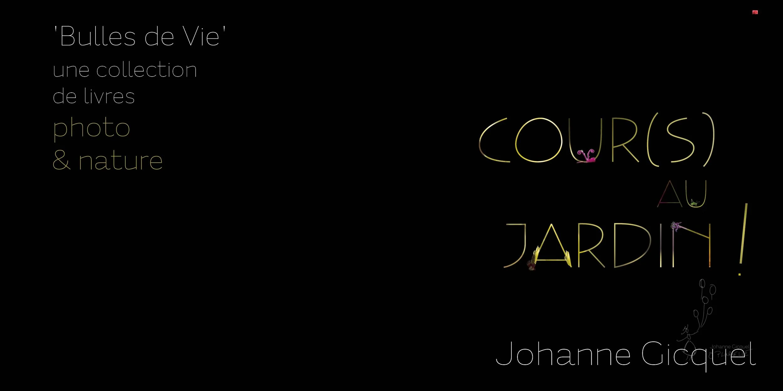 johannegicquel-bullesdevie-.JPG