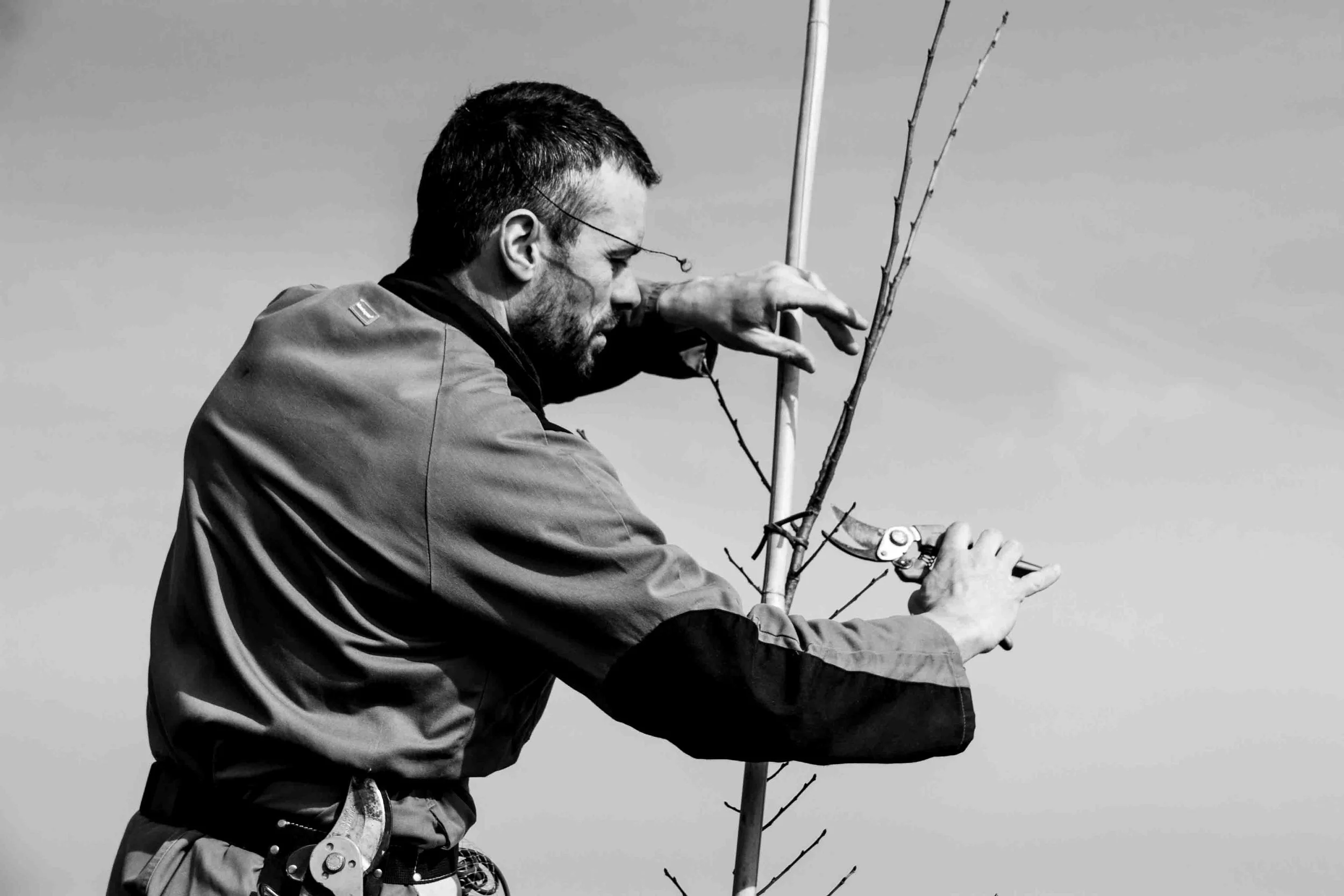 johannegicquel- paysames-3002.JPG