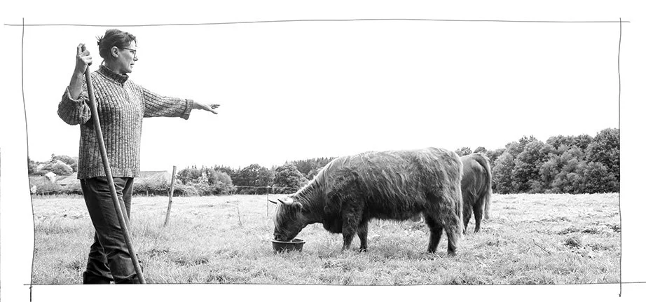 auto-edition joooa.jpg