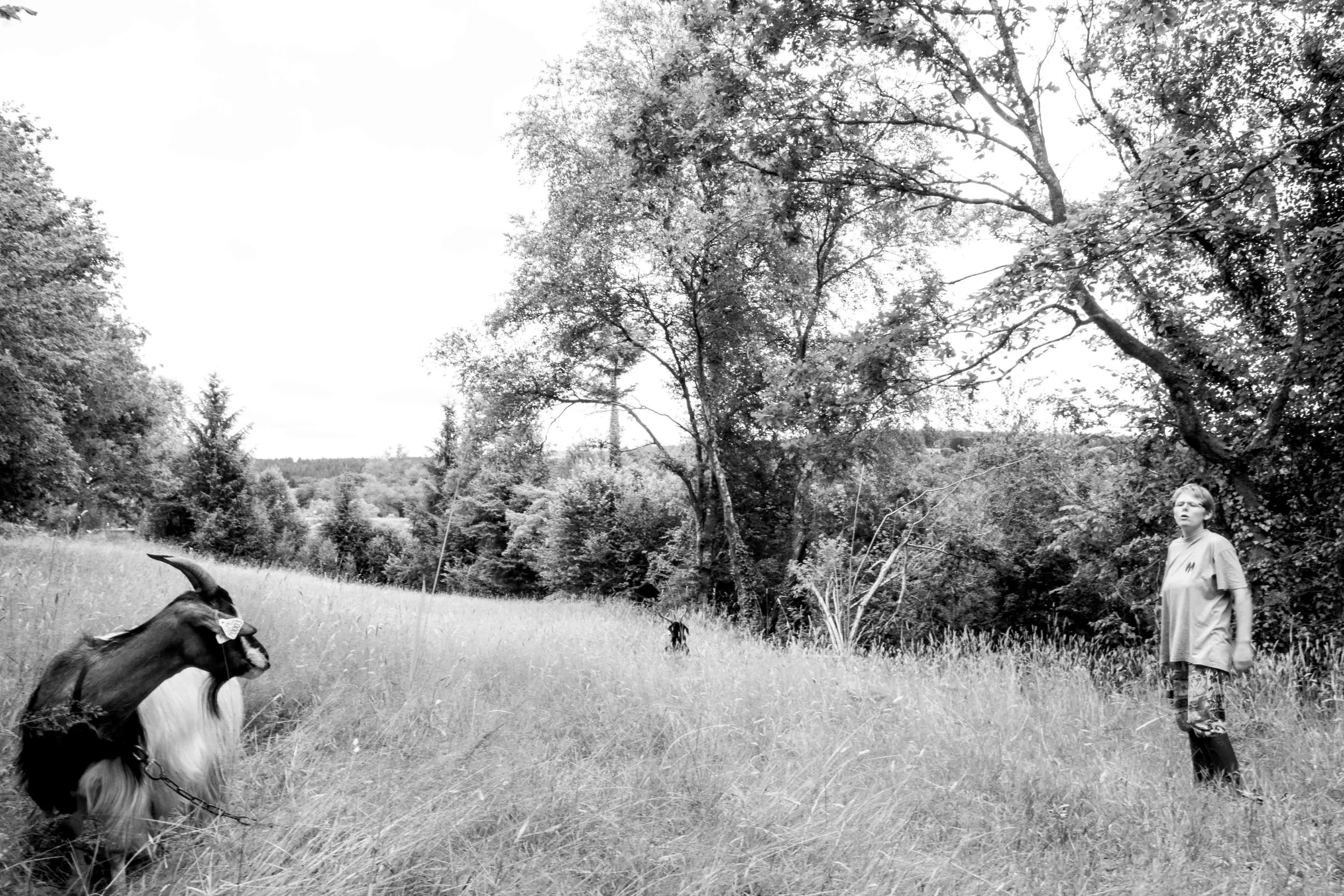 S'installer en chèvre par fidélité aux animaux. 
