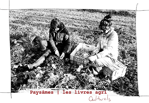 image de 2 femmes au champ. Paysames de johanne gicquel. Image exptraite des reportages
