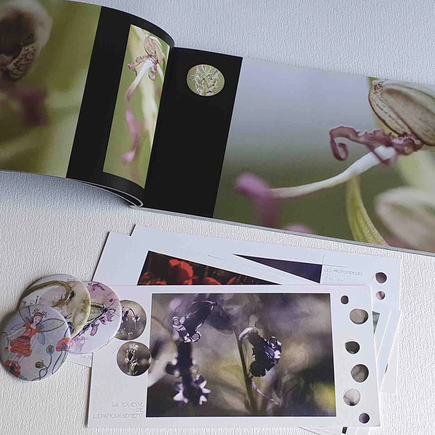 johannegicquel-paysames-100129.JPG (Copy)