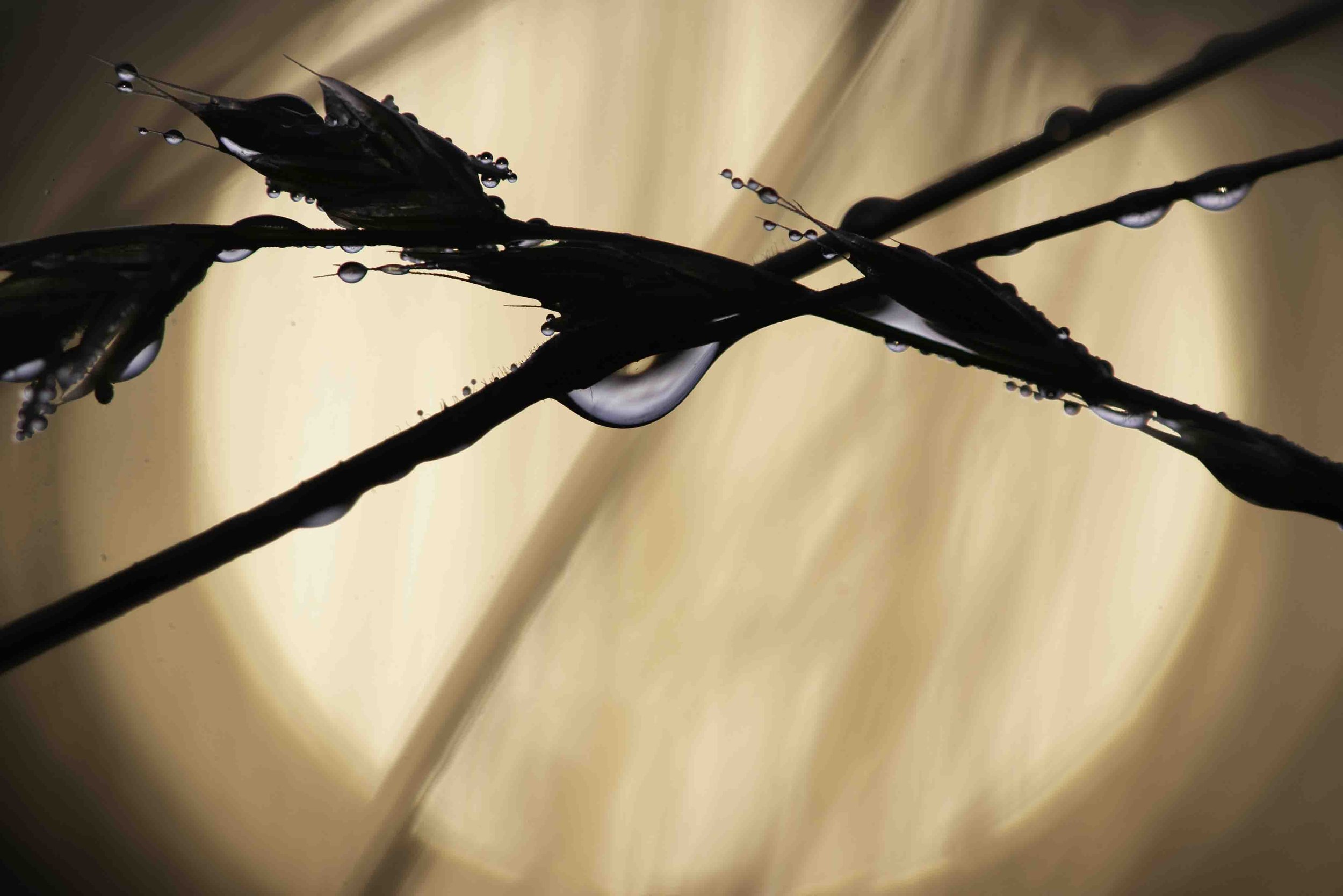 Une photo graphique, jouant sur les lignes et les couleurs.
