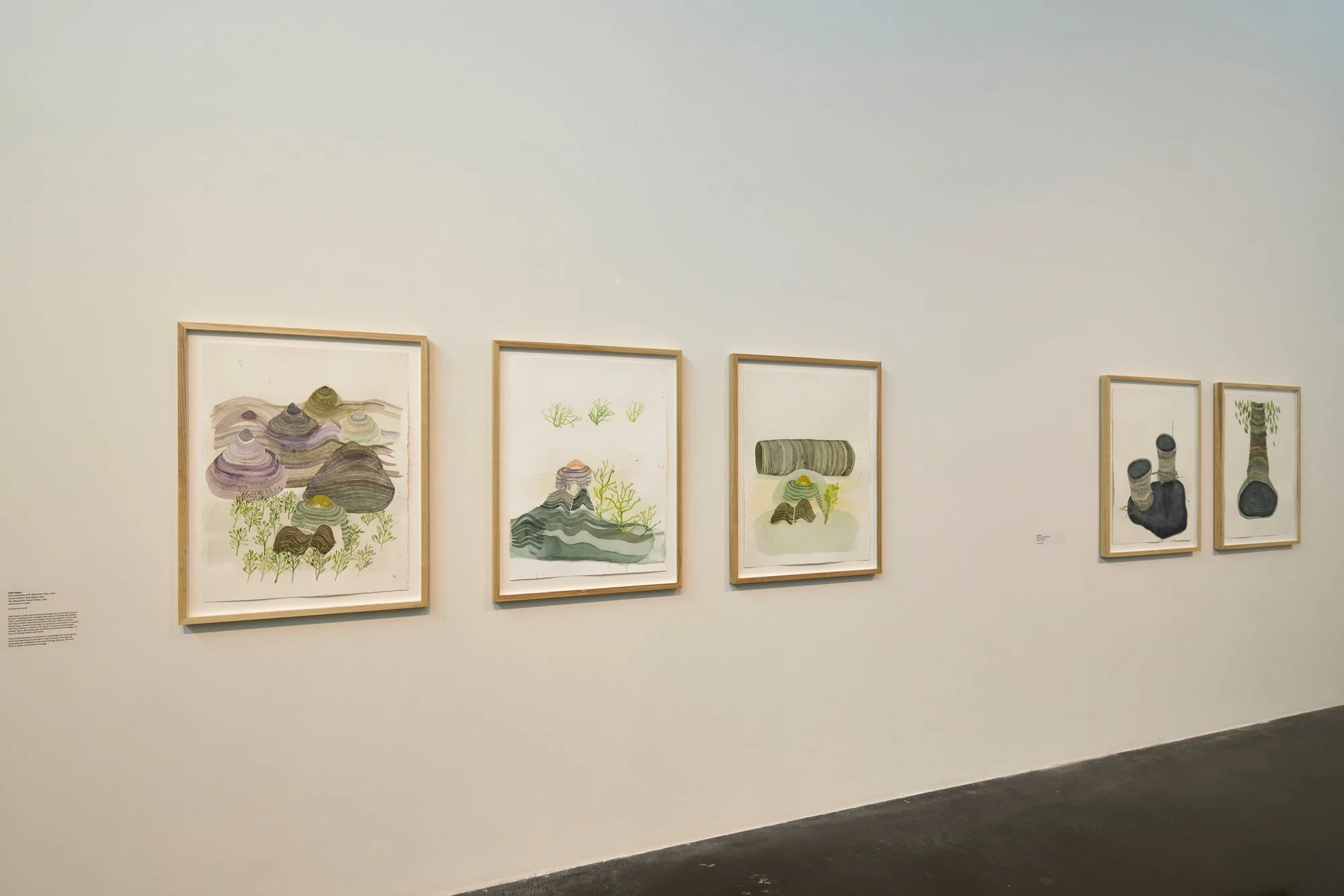 Earthbound, New Art Gallery Walsall, 2024-5