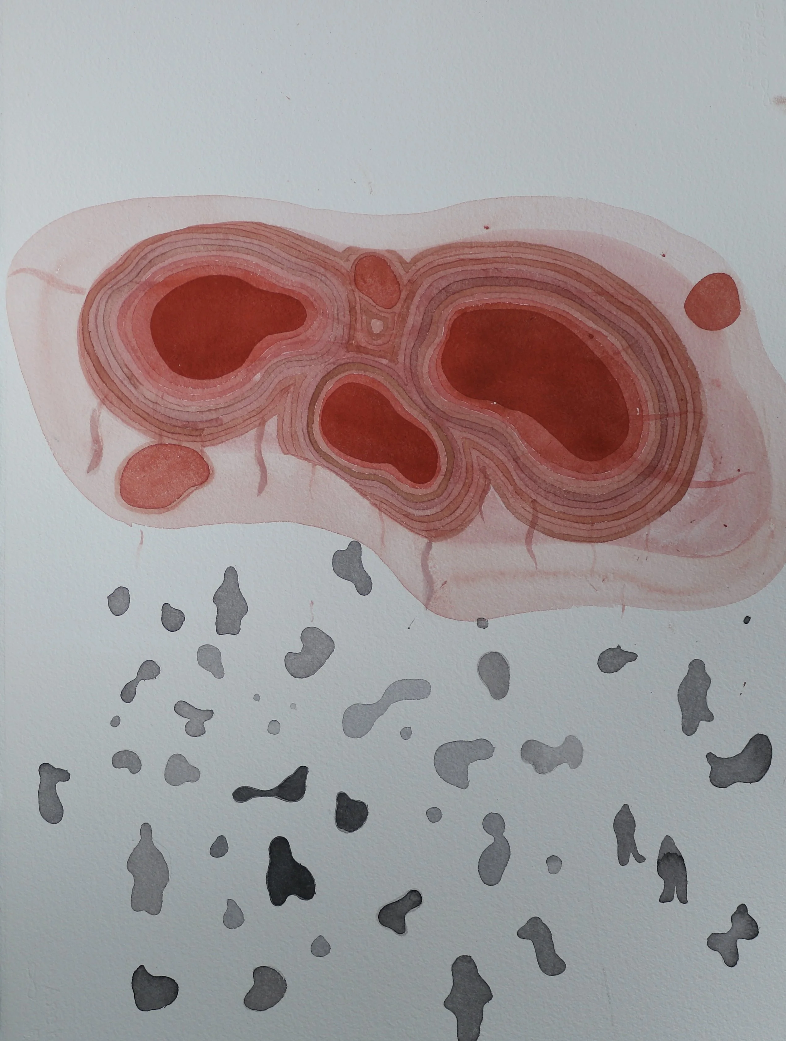 Micro/Macro, 2022, watercolour on museum watercolour paper, 76x56cm
