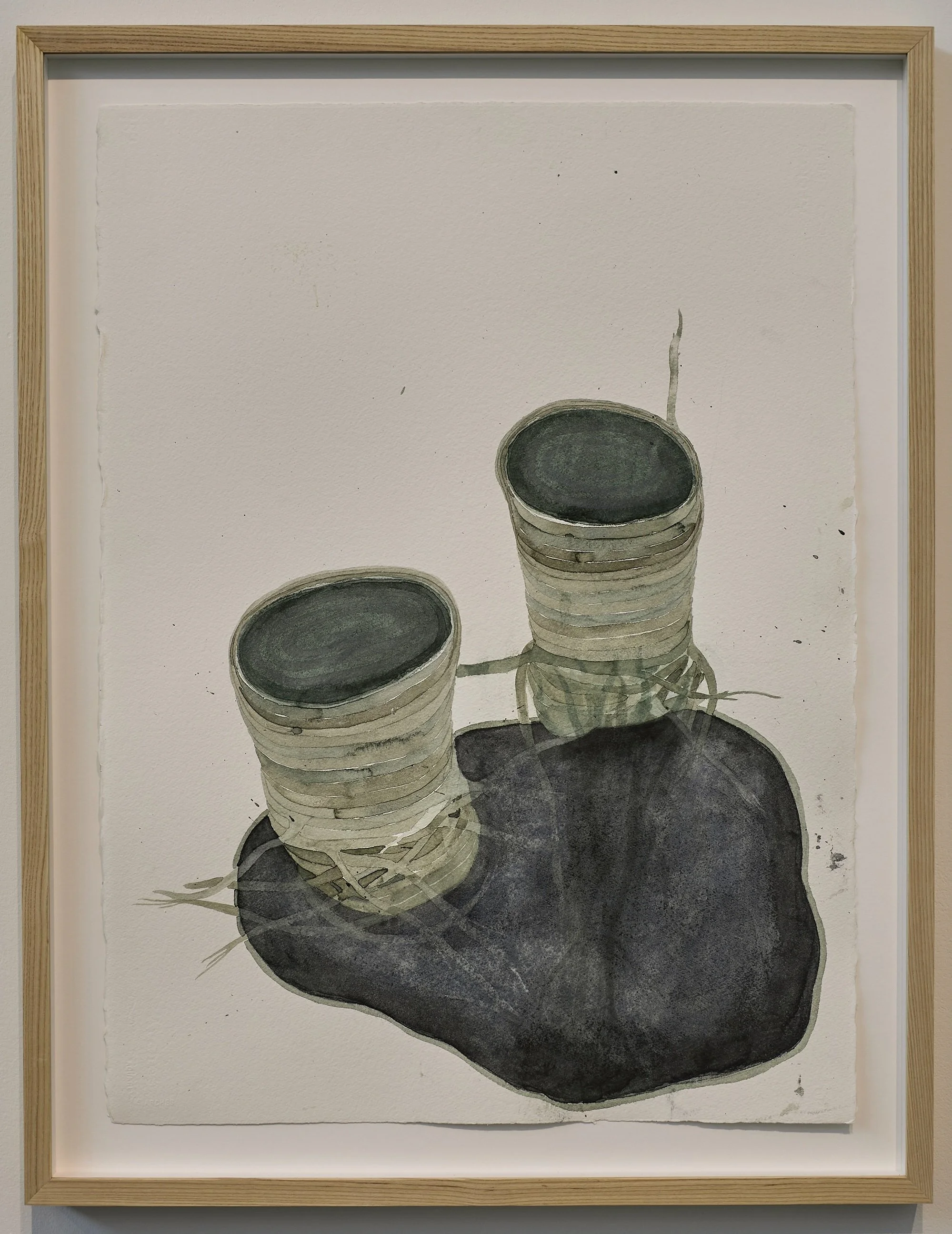 Wood, the Echo and Wiggle 2.jpg