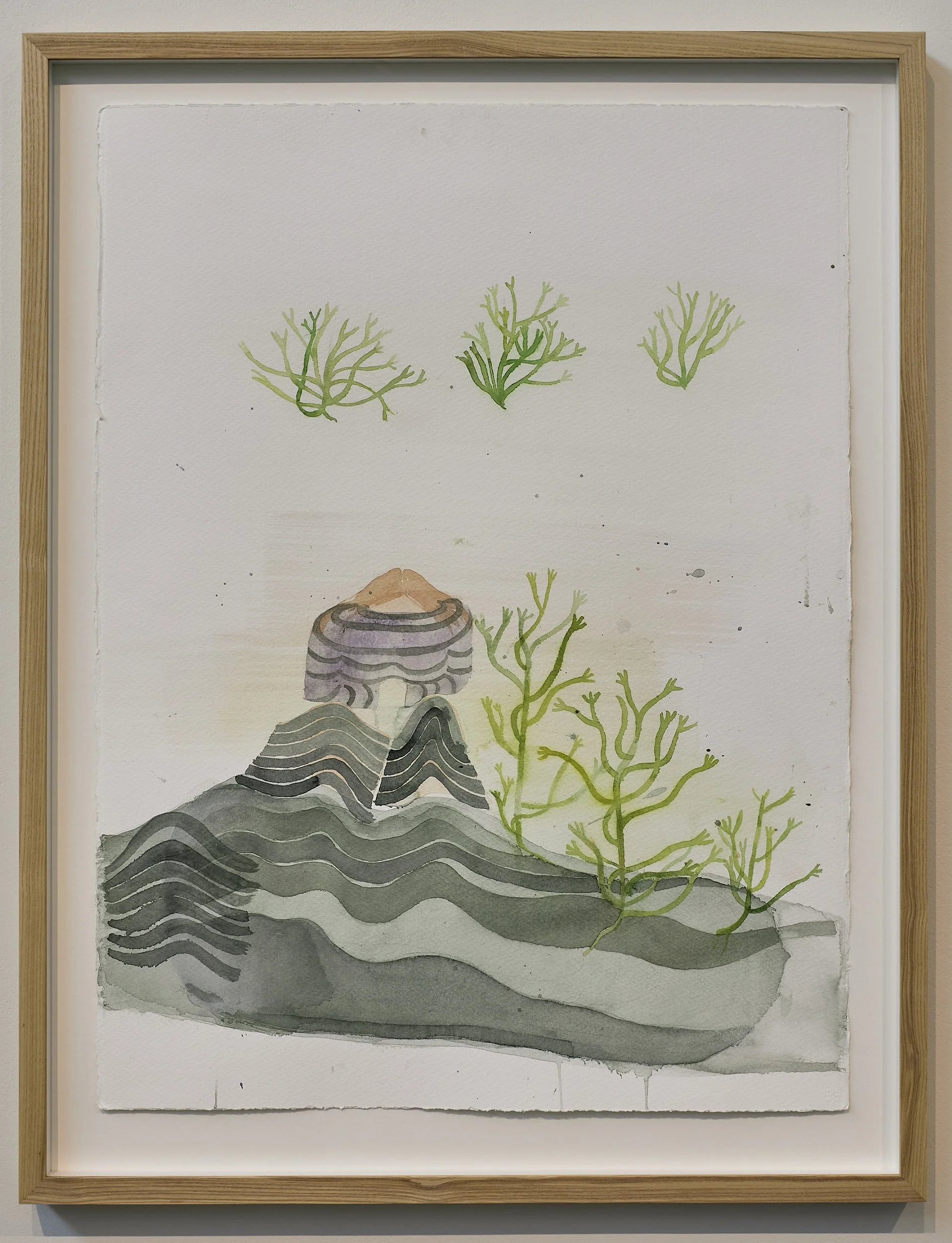 Conversations with Algae 2.jpg