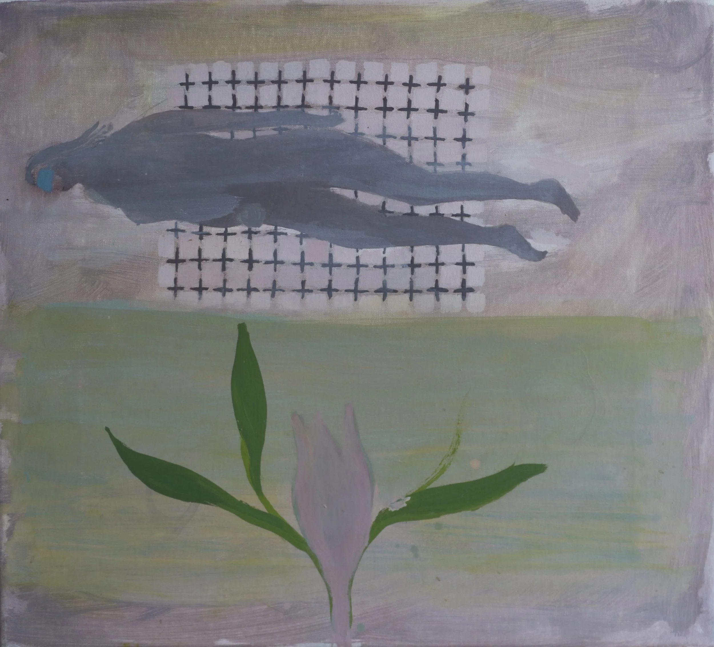 Domestic Flying, 2026, oil on linen, 30 x 33cm